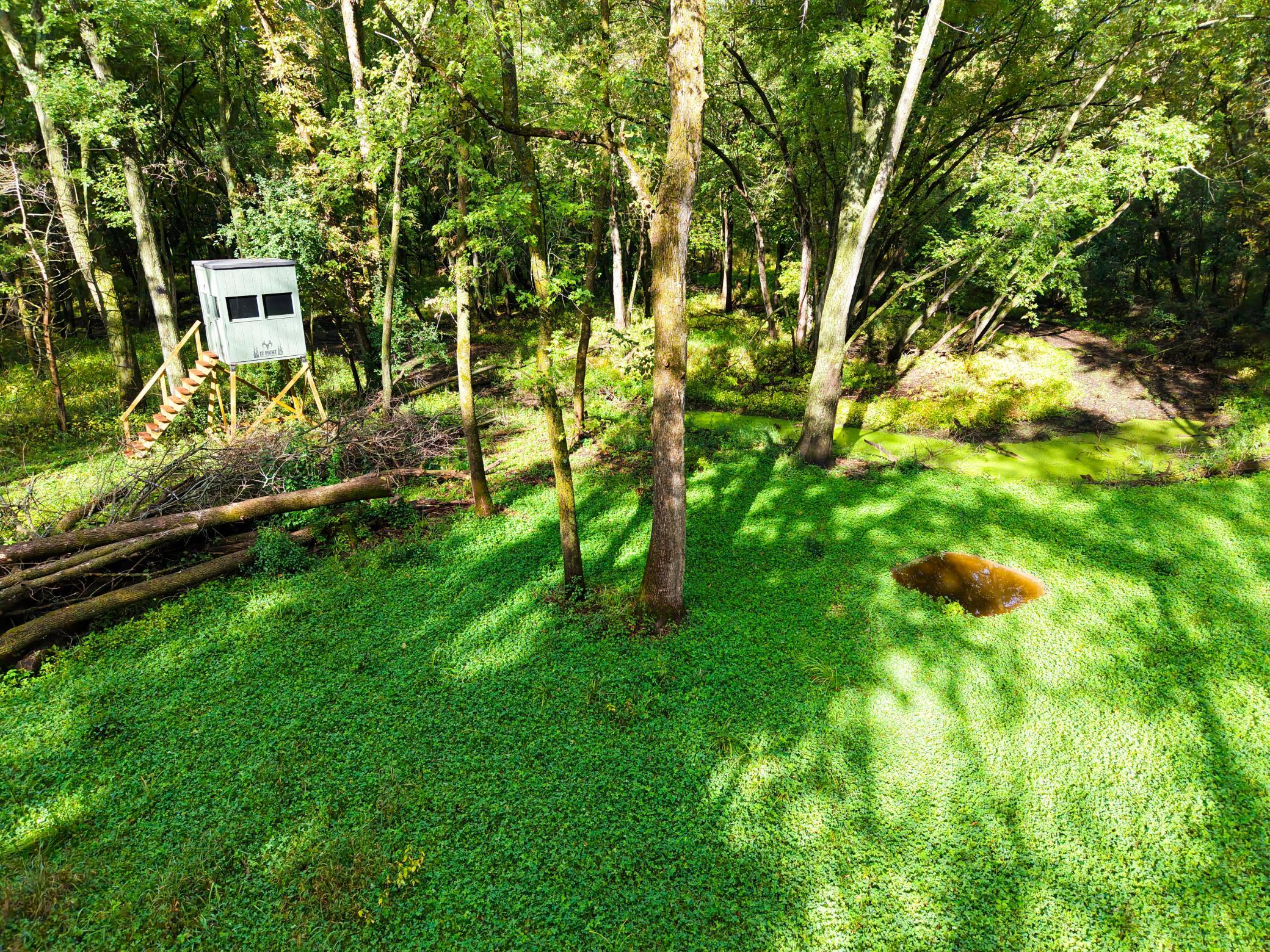 View of Land at 0000 17th St, Clear Lake MN 55319, Clear Lake (4 of 47) - Mike Wilen | Minnesota Team Real Estate