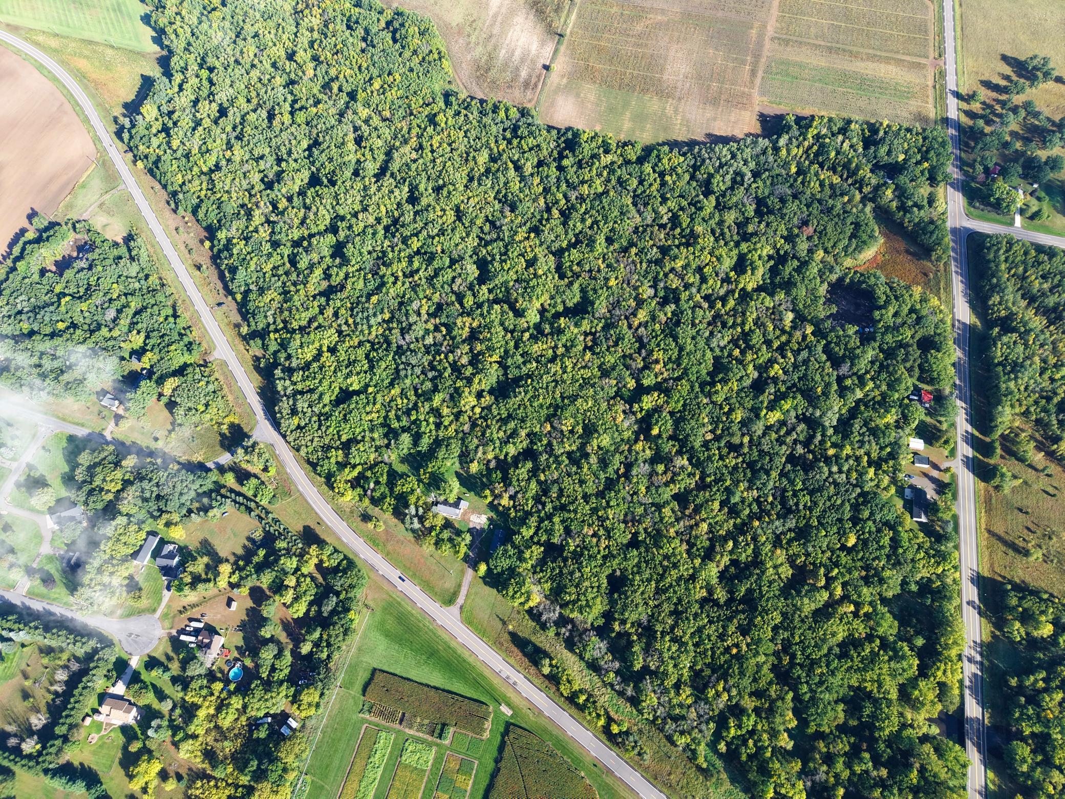 View of Land at 0000 17th St, Clear Lake - Mike Wilen | Minnesota Team Real Estate