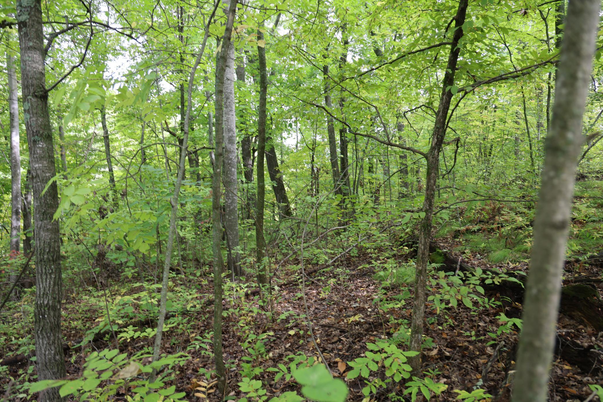 View of Land at 468xx Sugarbrush Circle, Garrison MN 56450, Garrison (7 of 8) - Mike Wilen | Minnesota Team Real Estate