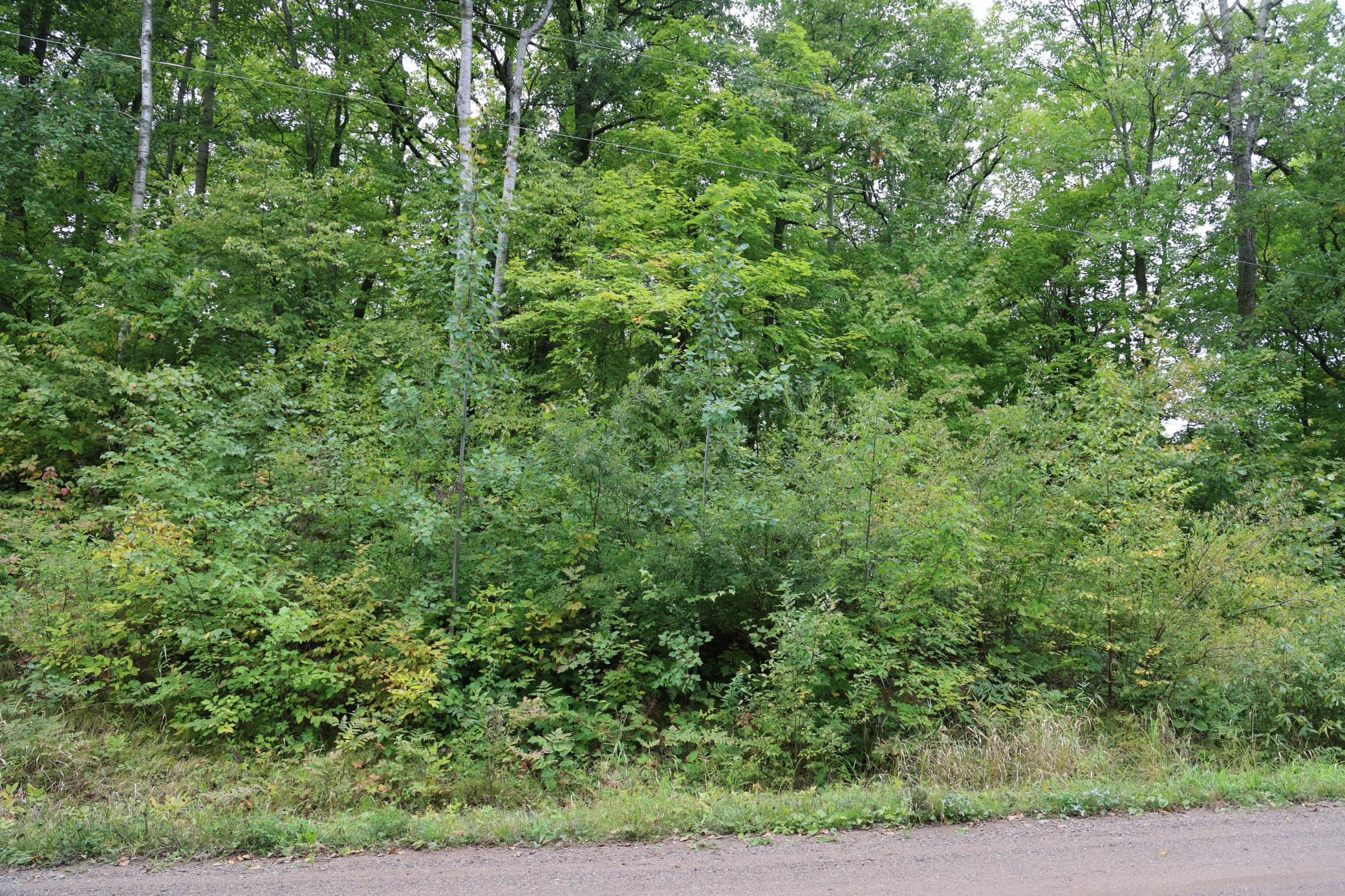 View of Land at 468xx Sugarbrush Circle, Garrison MN 56450, Garrison (5 of 8) - Mike Wilen | Minnesota Team Real Estate