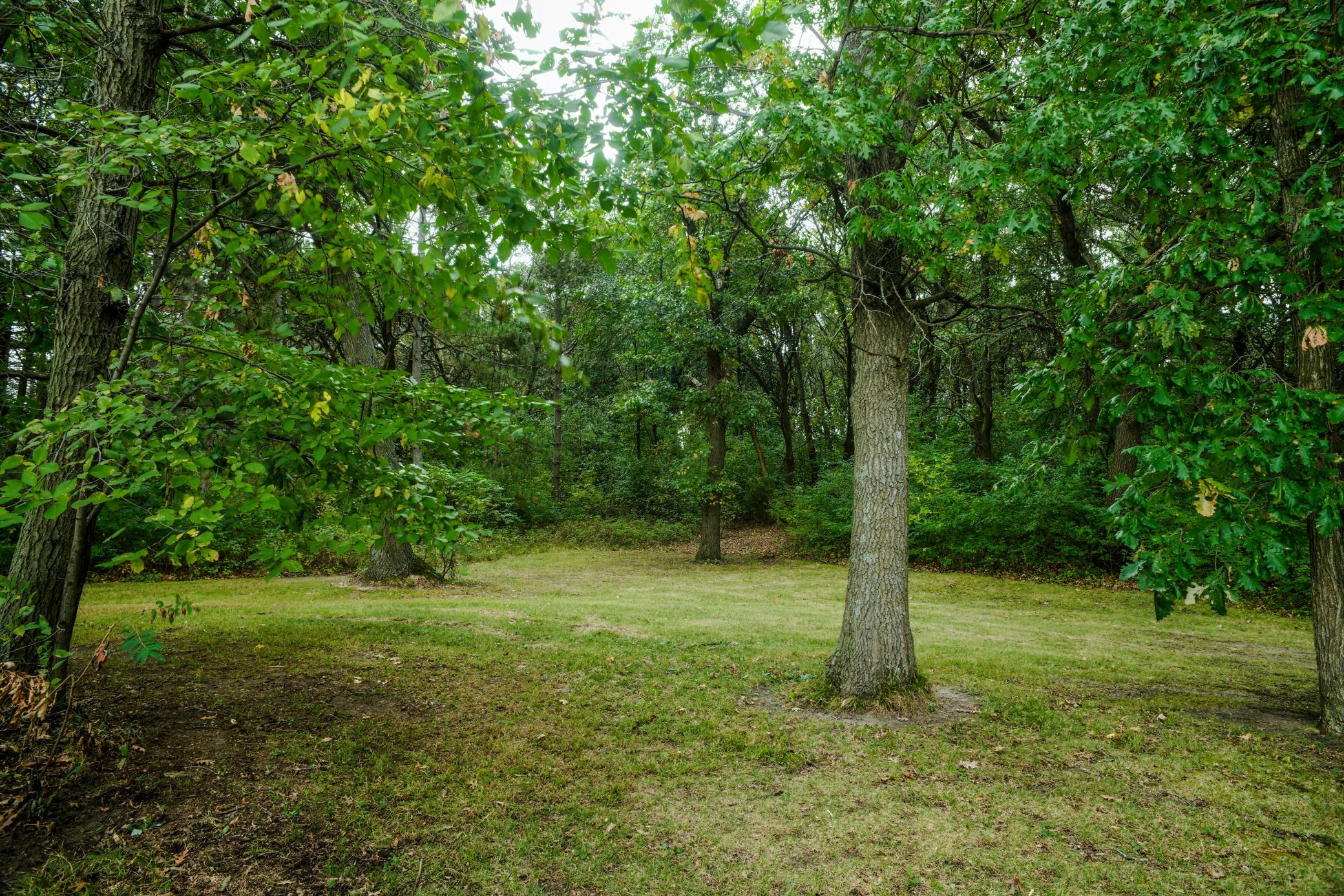 View of Residential at 7489 125th Avenue, Clear Lake MN 55319, Clear Lake (37 of 39) - Mike Wilen | Minnesota Team Real Estate