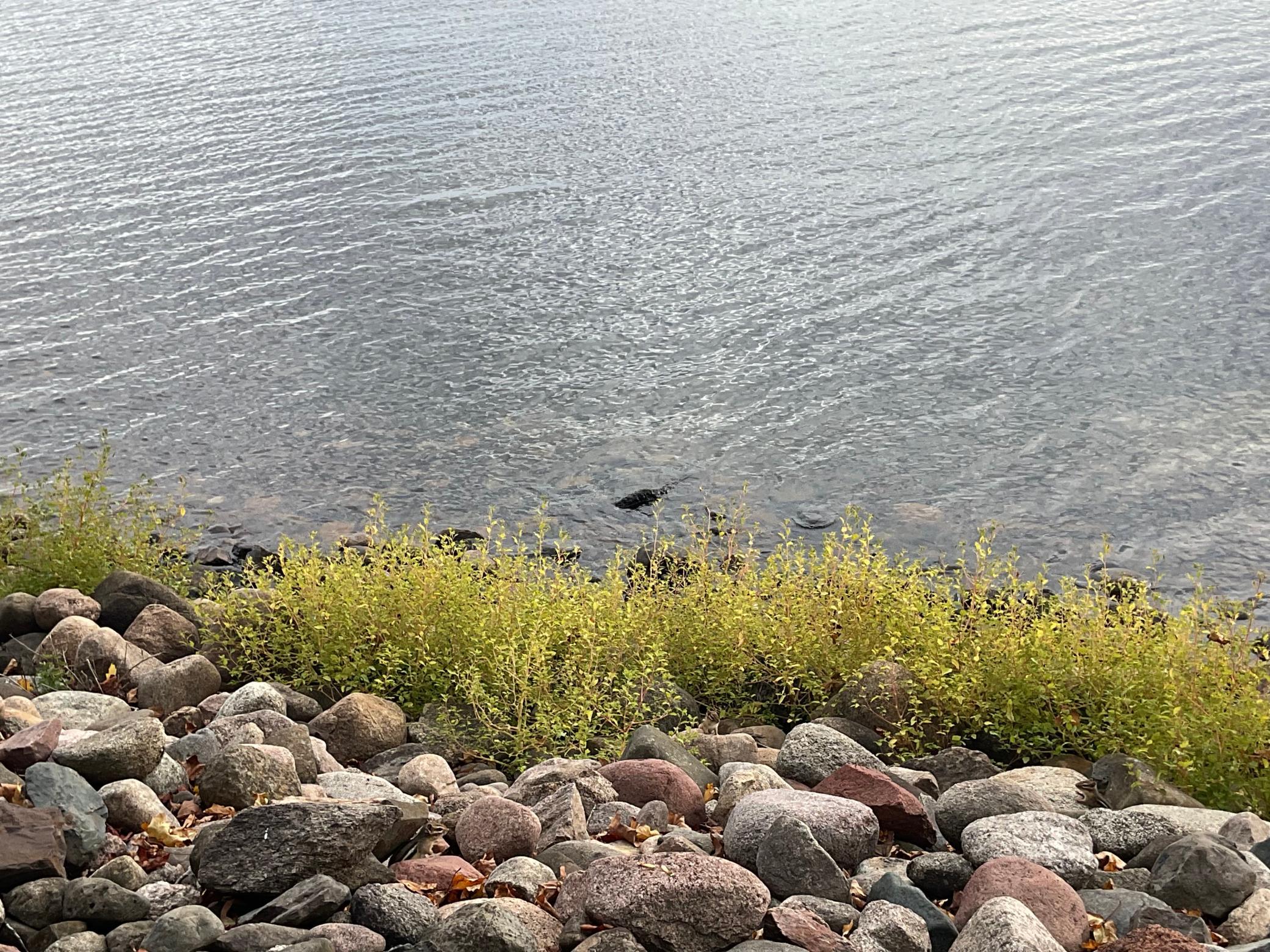 View of Residential at 4057 Mille Lacs Parkway, Isle MN 56342, Isle (20 of 22) - Mike Wilen | Minnesota Team Real Estate