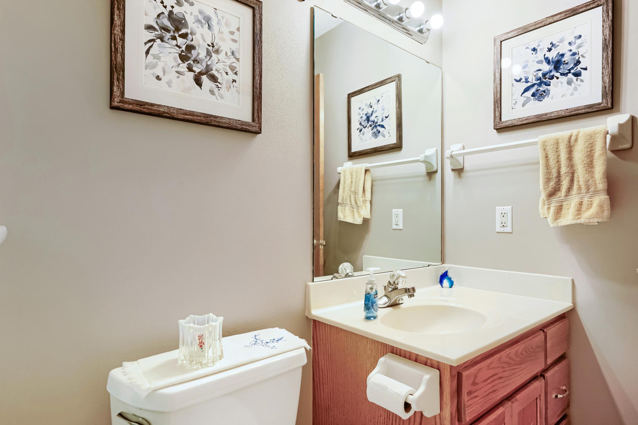 View of Residential at 3798 Shannon Drive, Hastings MN 55033, Hastings (21 of 29) - Mike Wilen | Minnesota Team Real Estate