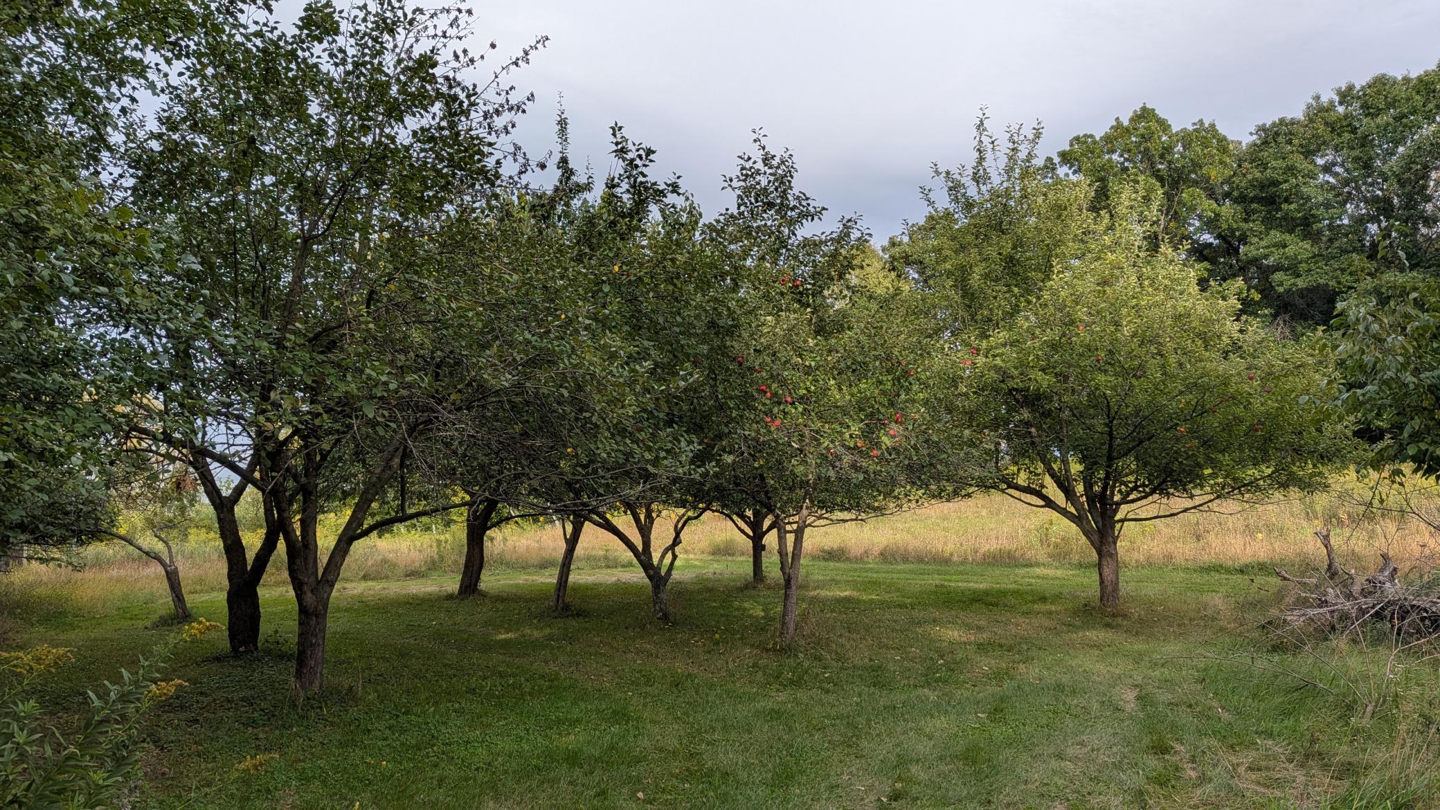 View of Residential at 361 Oak Knoll Drive, Marine On Saint Croix MN 55047, Marine On Saint Croix (9 of 10) - Mike Wilen | Minnesota Team Real Estate