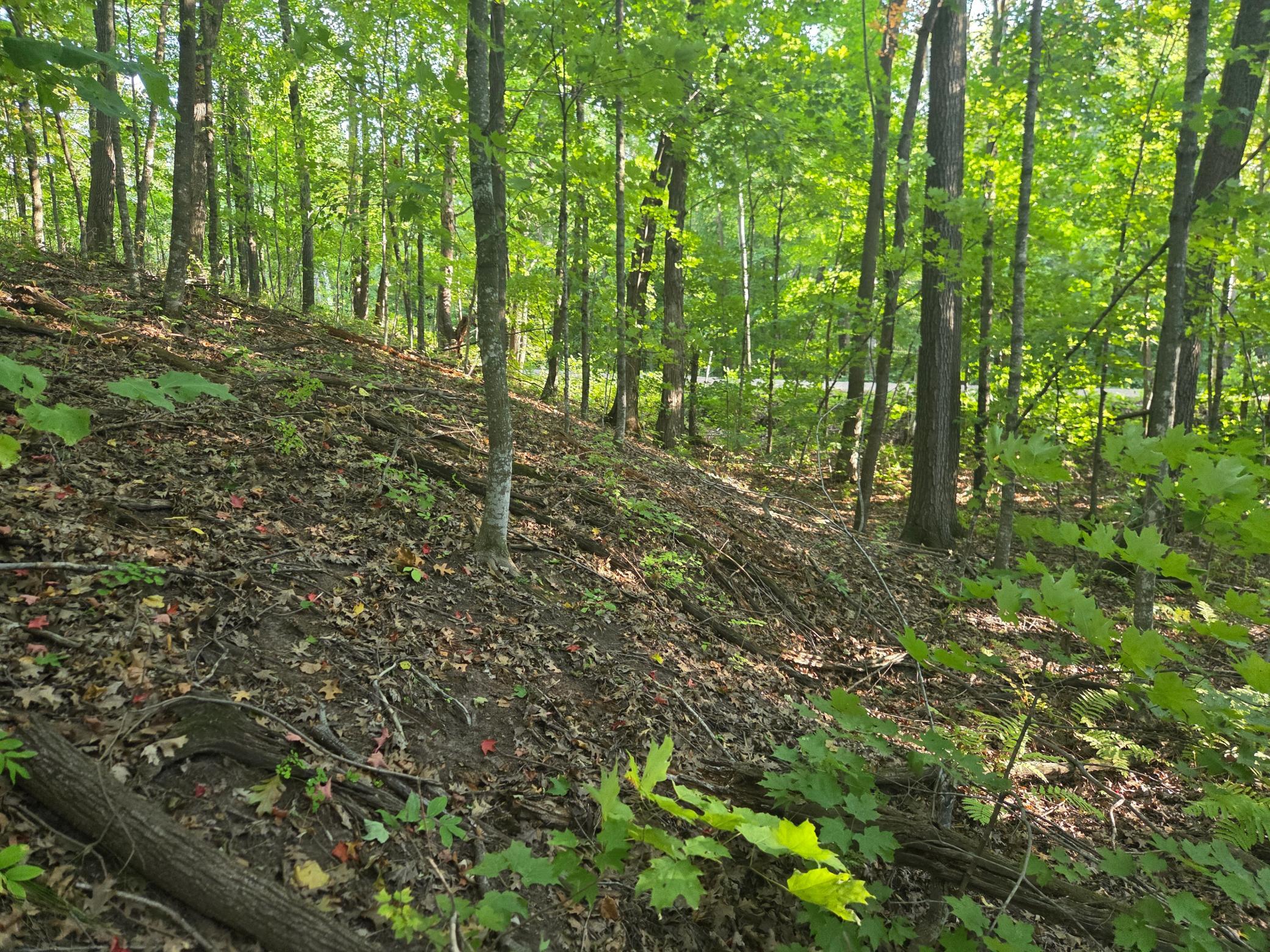 View of Land at TBD Deer Trail, Garrison MN 56450, Garrison (3 of 7) - Mike Wilen | Minnesota Team Real Estate