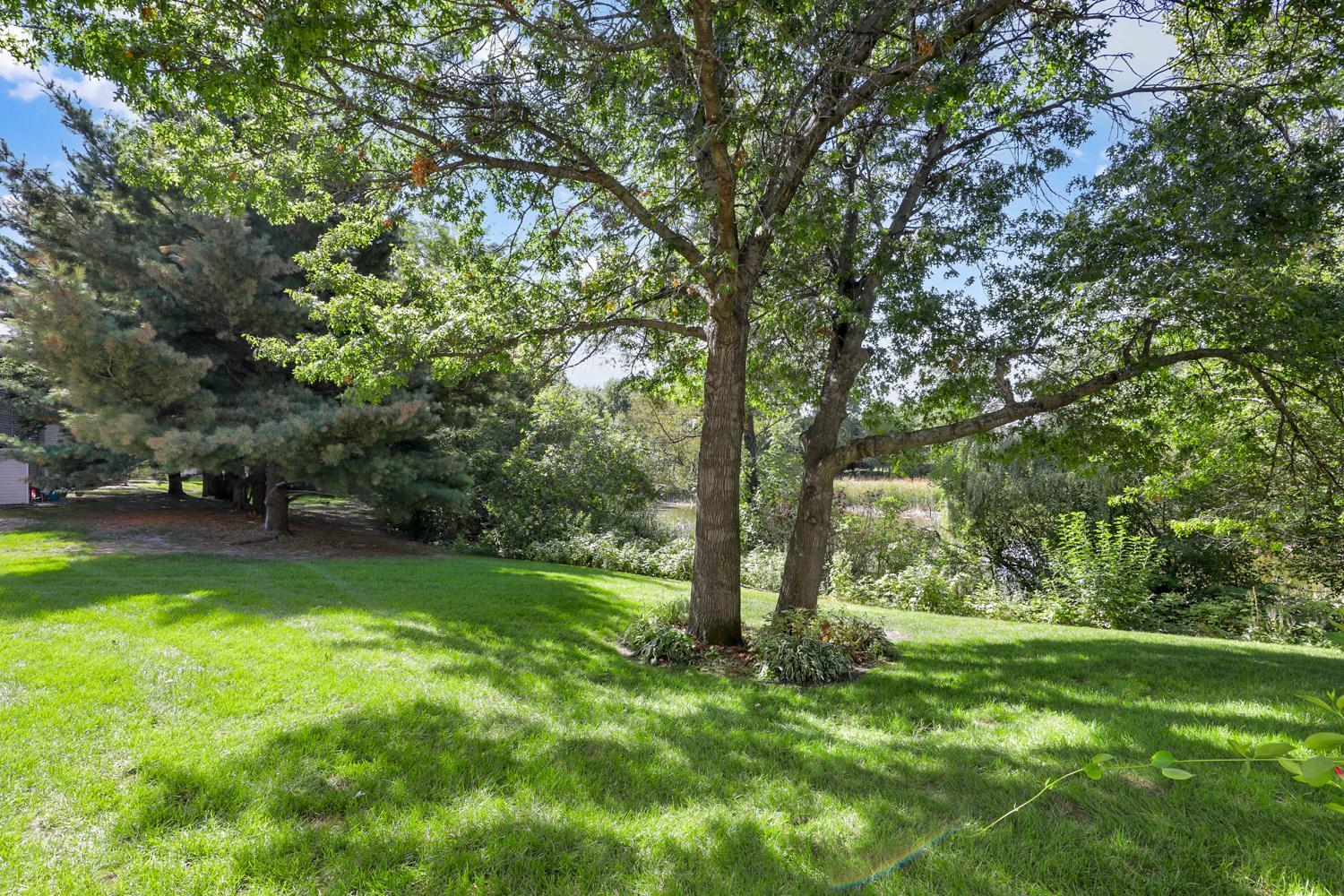 View of Residential at 12402 Johnson Street, Blaine MN 55434, Blaine (16 of 17) - Mike Wilen | Minnesota Team Real Estate