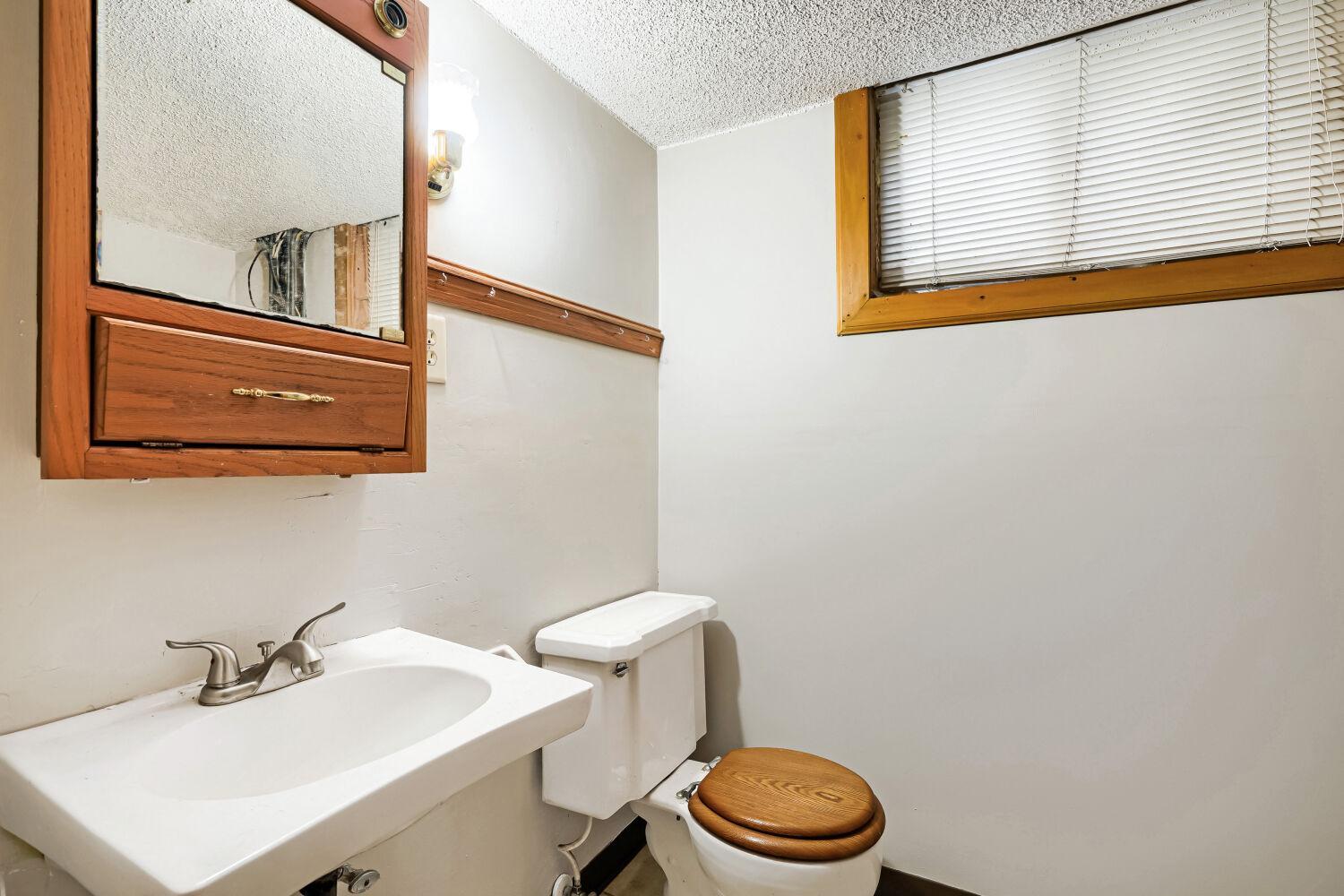 View of Residential at 1119 Minnehaha Avenue, Saint Paul MN 55104, Saint Paul (25 of 27) - Mike Wilen | Minnesota Team Real Estate