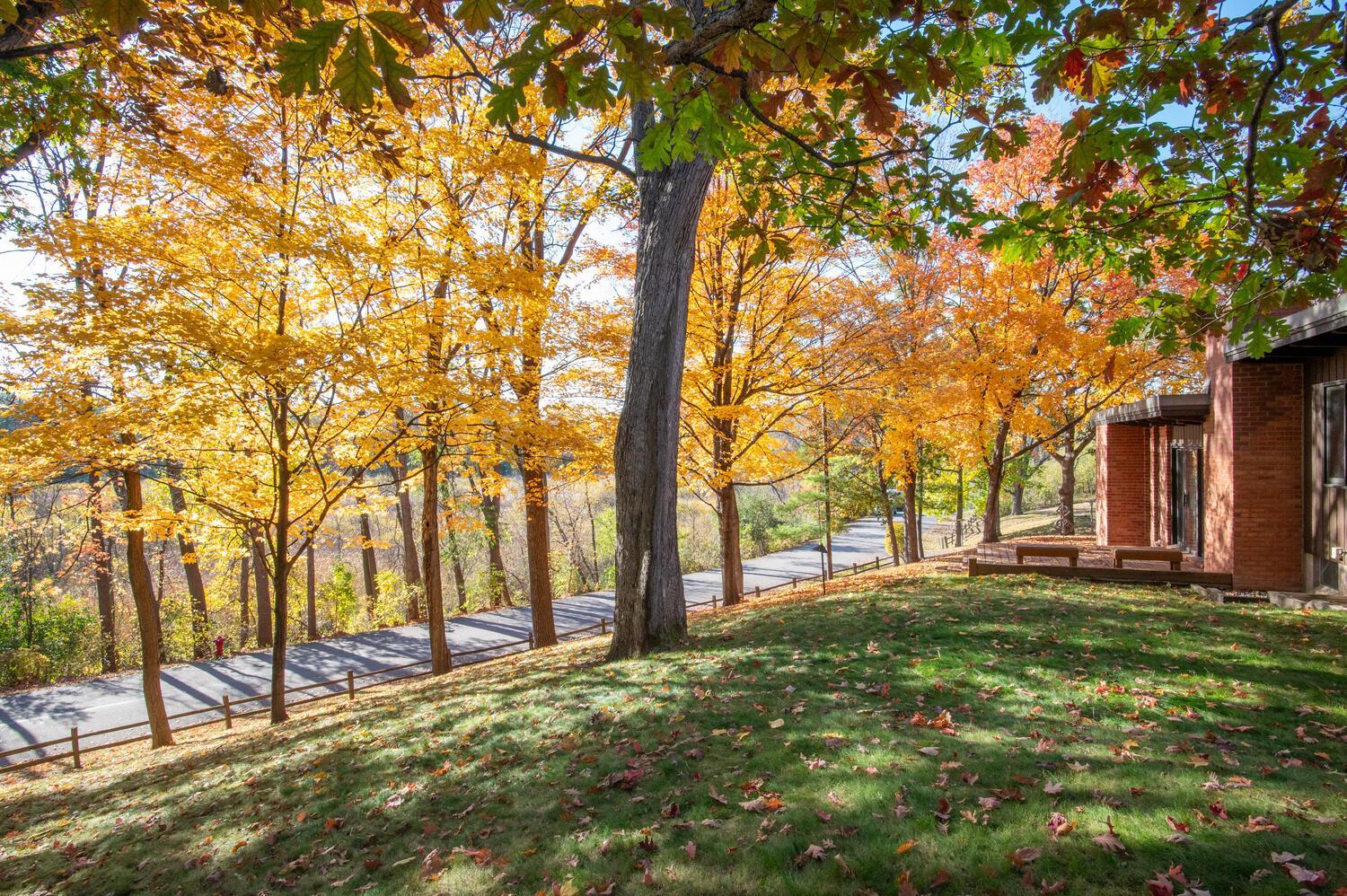 View of Residential at 5811 Hobe Lane, White Bear Lake MN 55110, White Bear Lake (17 of 67) - Mike Wilen | Minnesota Team Real Estate