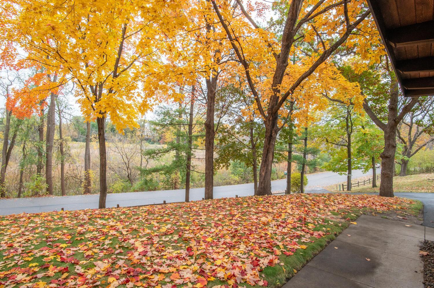 View of Residential at 5811 Hobe Lane, White Bear Lake MN 55110, White Bear Lake (18 of 67) - Mike Wilen | Minnesota Team Real Estate