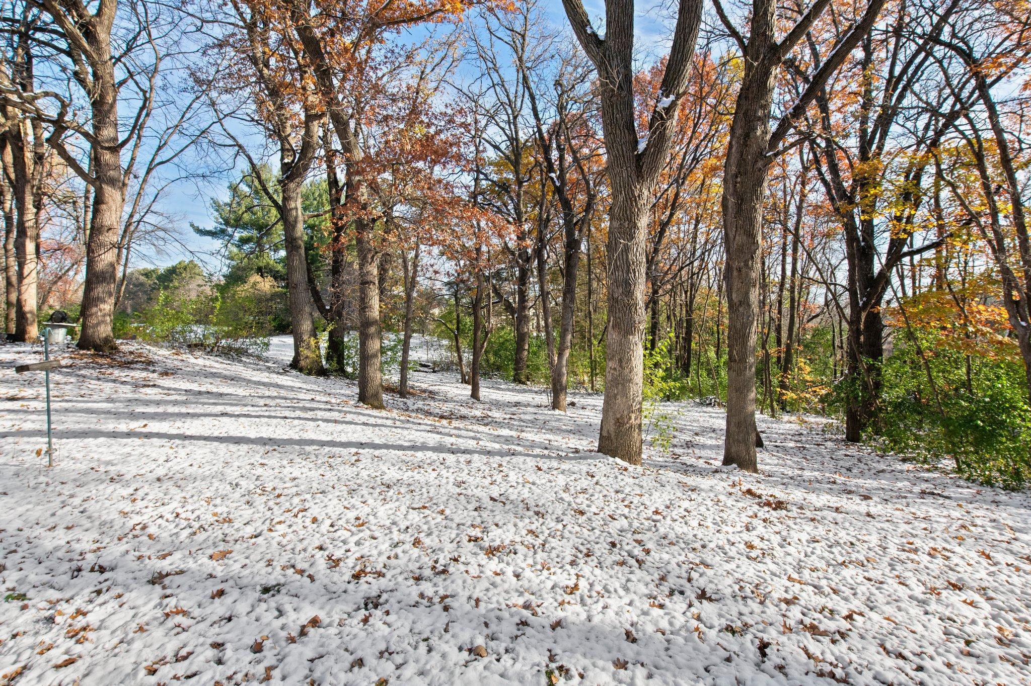 View of Land at 21145 Fondant Avenue, Forest Lake MN 55025, Forest Lake (10 of 21) - Mike Wilen | Minnesota Team Real Estate