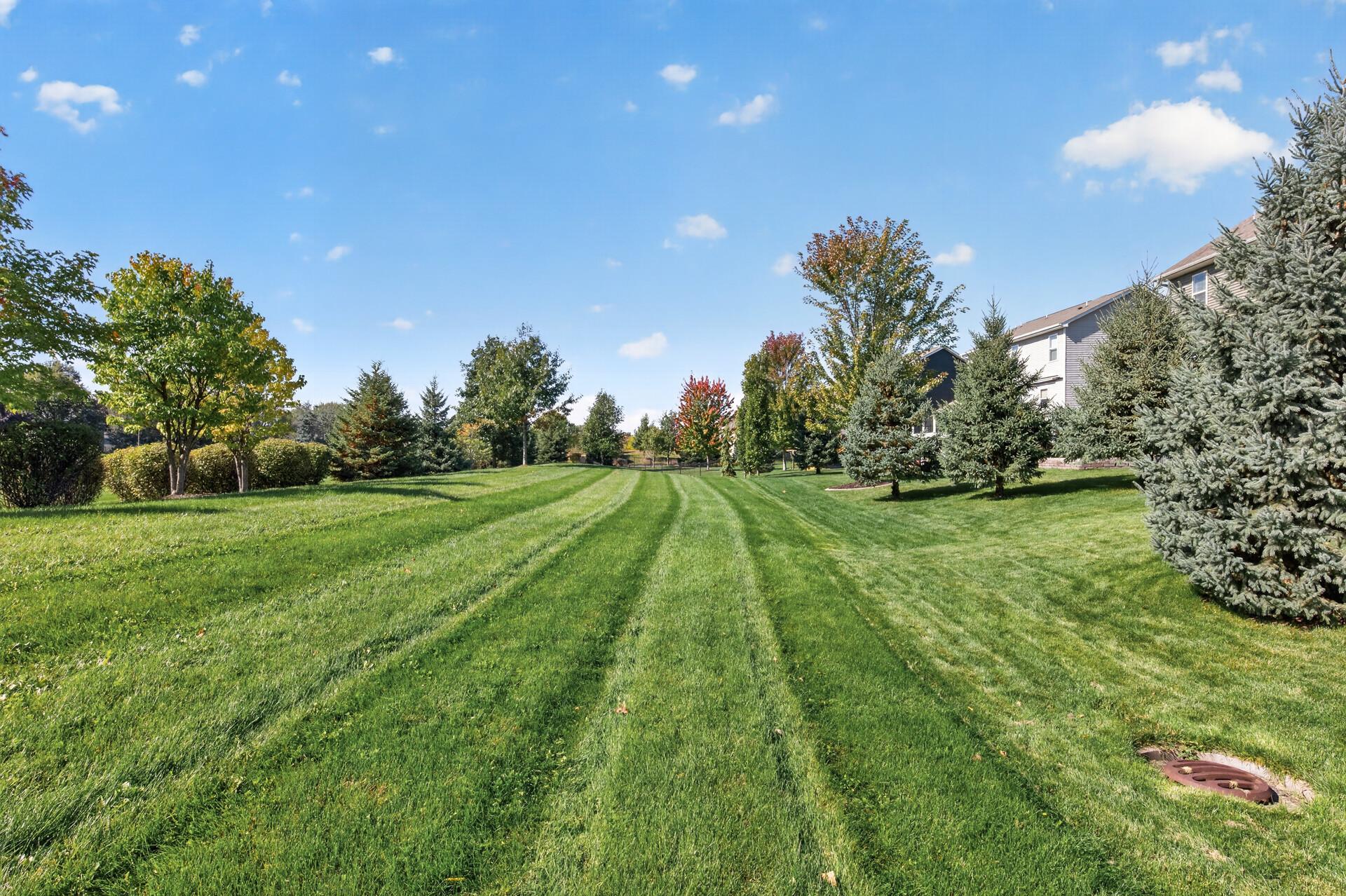 View of Residential at 9747 69th Street, Cottage Grove MN 55016, Cottage Grove (70 of 77) - Mike Wilen | Minnesota Team Real Estate