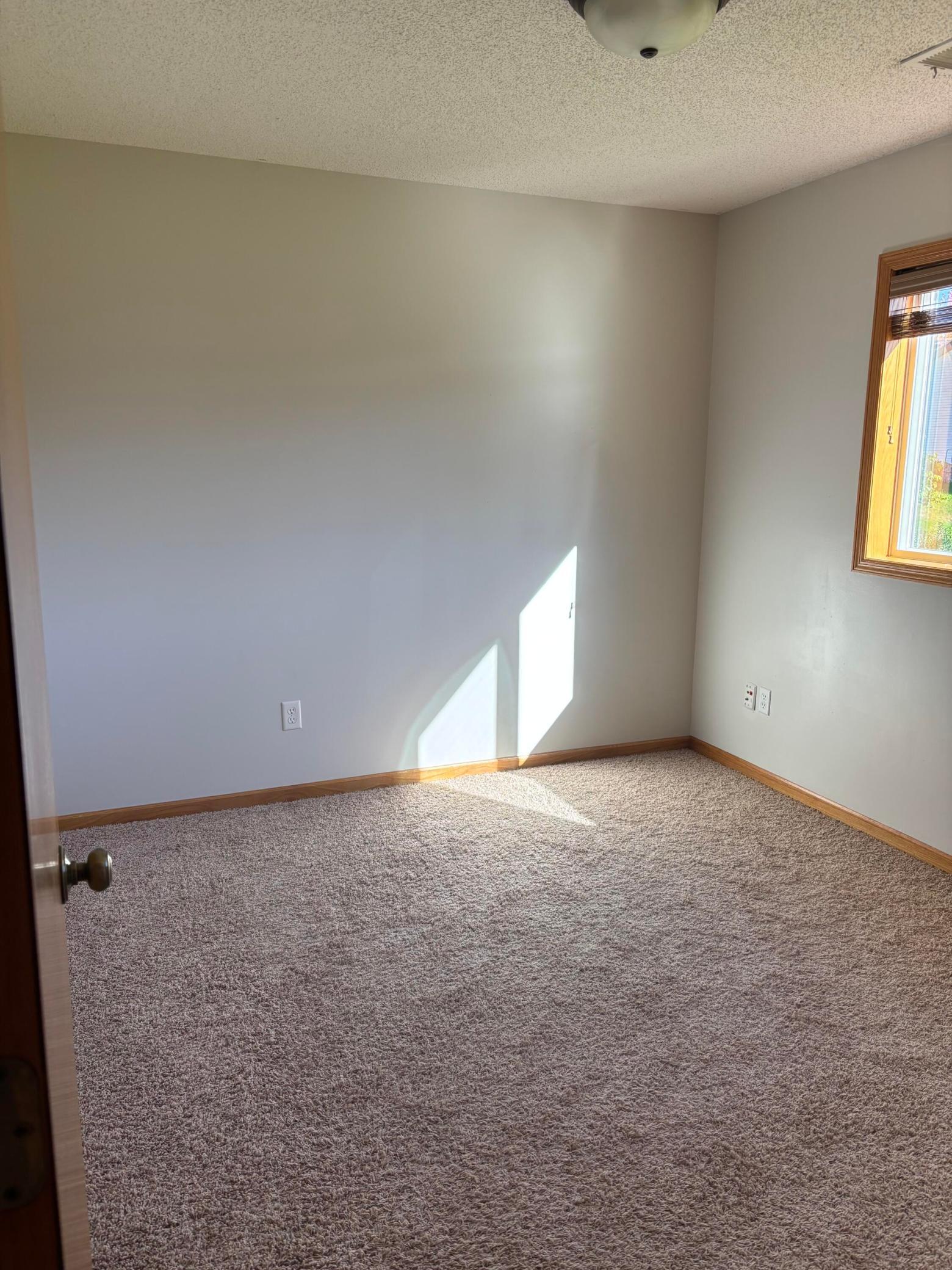 View of Residential at 911 Morrison Avenue, Annandale MN 55302, Annandale (23 of 23) - Mike Wilen | Minnesota Team Real Estate
