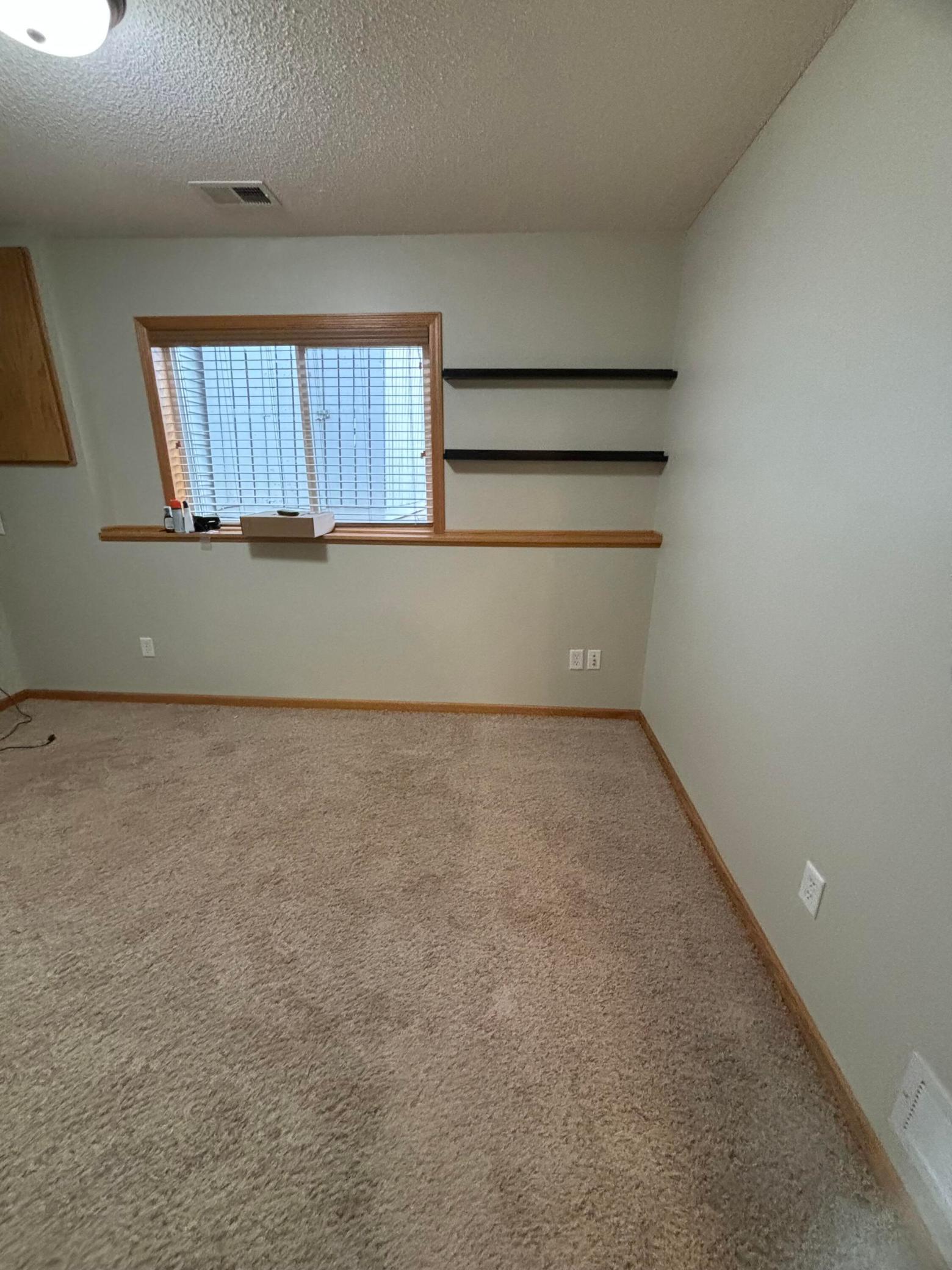 View of Residential at 911 Morrison Avenue, Annandale MN 55302, Annandale (13 of 23) - Mike Wilen | Minnesota Team Real Estate