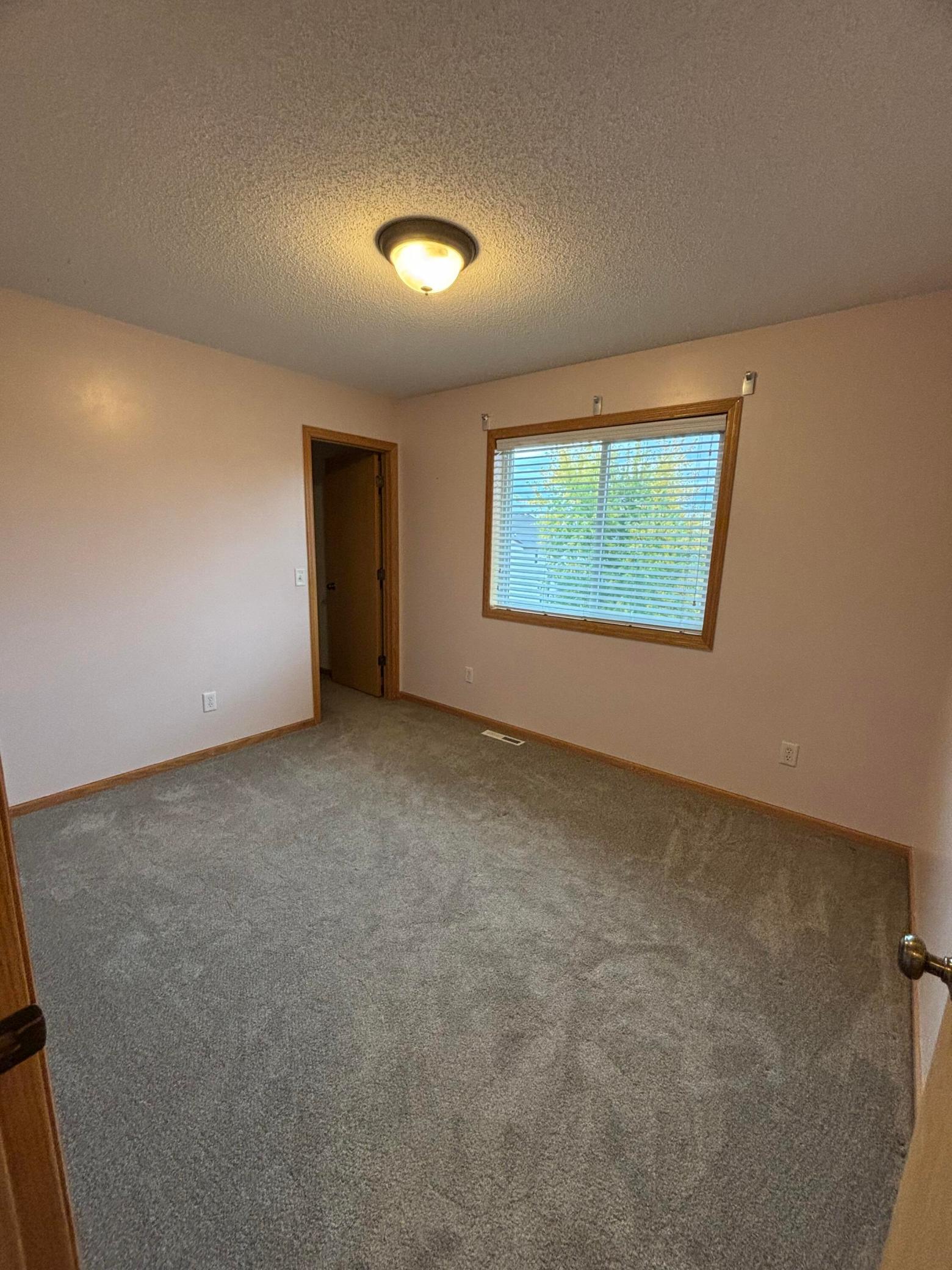 View of Residential at 911 Morrison Avenue, Annandale MN 55302, Annandale (107 of 211) - Mike Wilen | Minnesota Team Real Estate