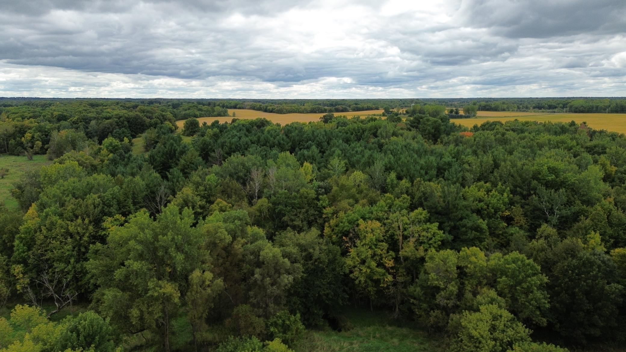 View of Land at 3850 405th Avenue, Braham MN 55006, Braham (4 of 29) - Mike Wilen | Minnesota Team Real Estate