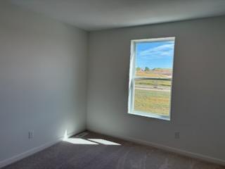 View of Residential at 6277 Ivywood Avenue, Cottage Grove MN 55016, Cottage Grove (33 of 47) - Mike Wilen | Minnesota Team Real Estate