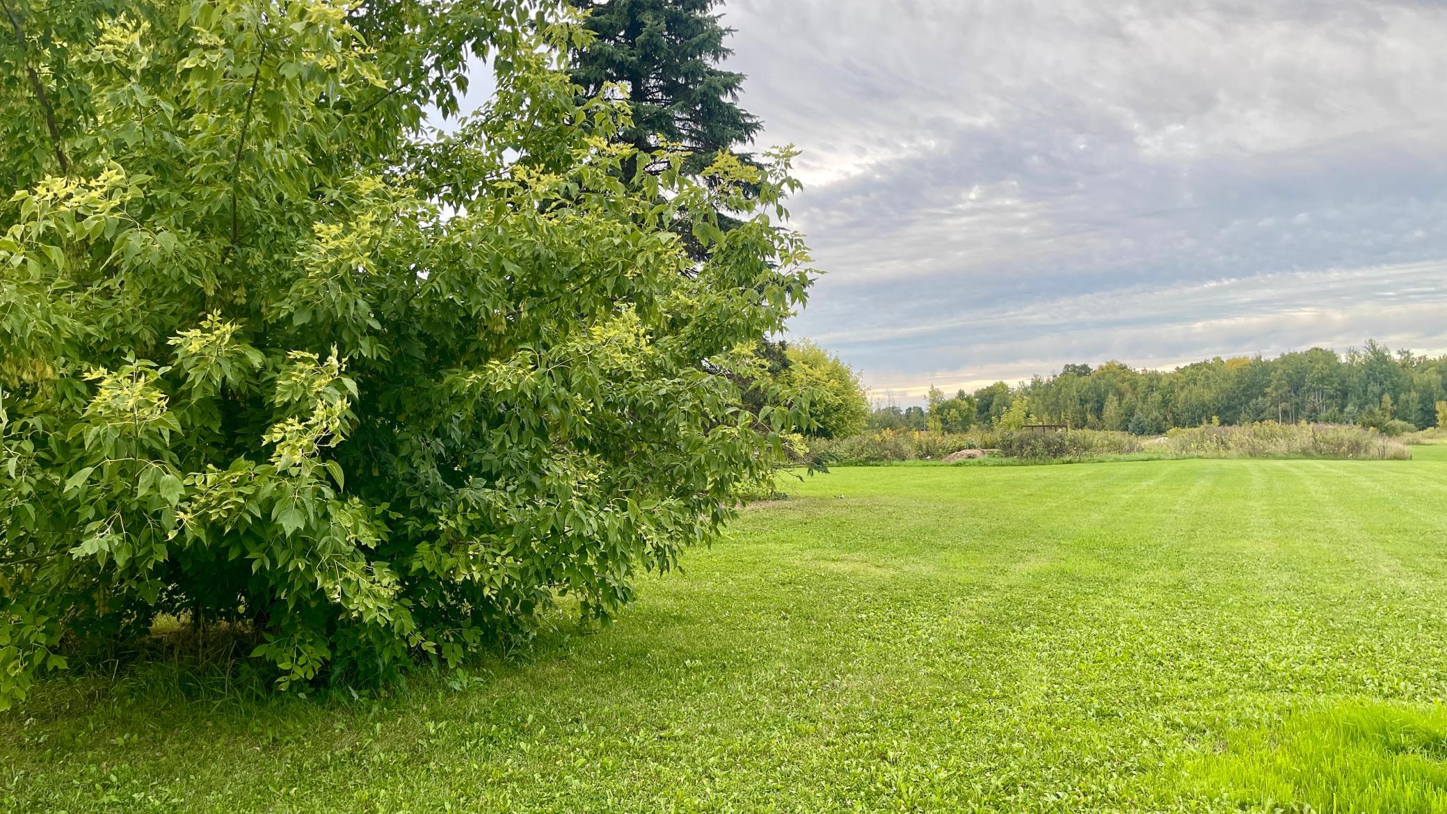 View of Residential at 18042 60th Avenue, Milaca MN 56353, Milaca (5 of 15) - Mike Wilen | Minnesota Team Real Estate