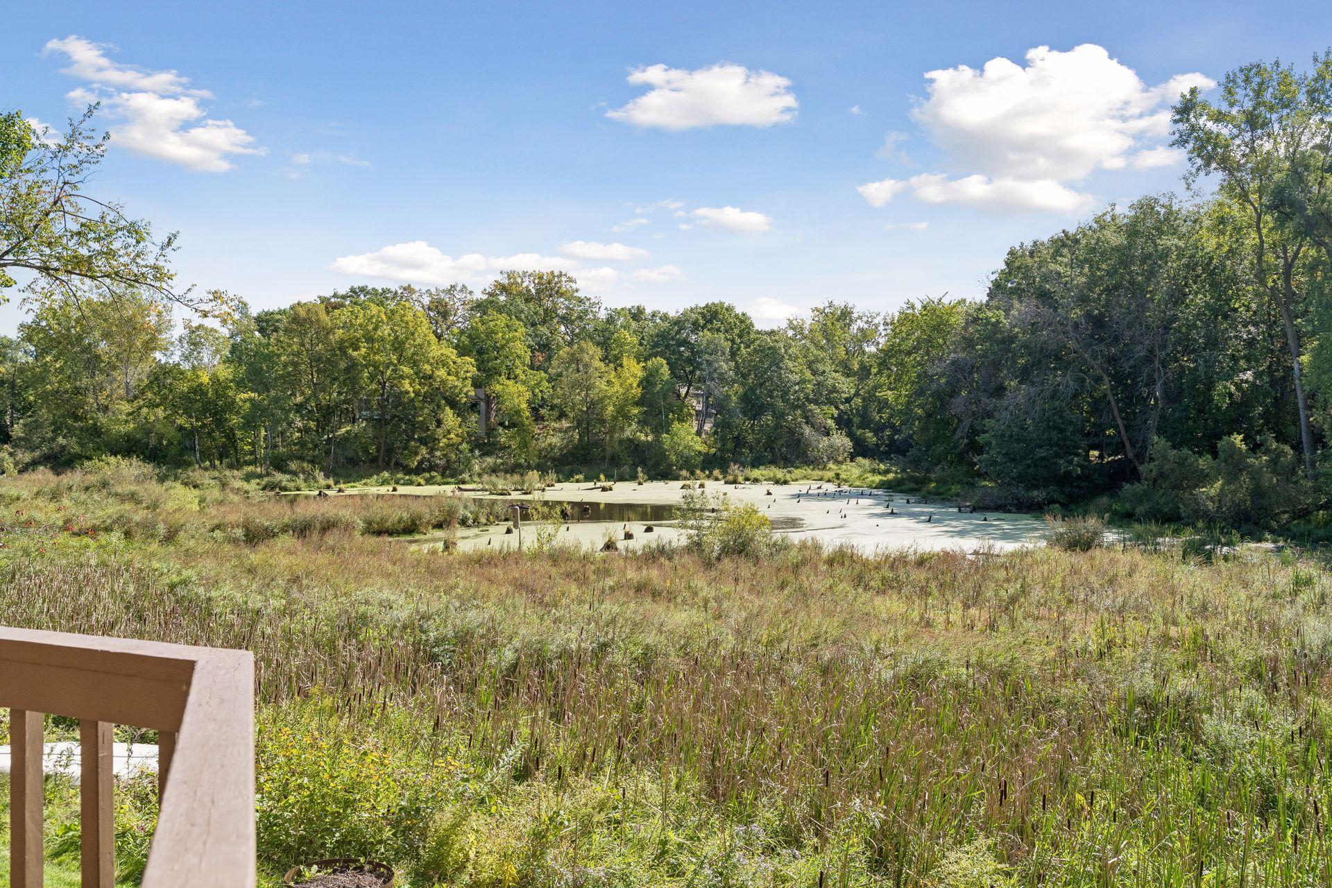 View of Residential at 854 Palm Court, Maplewood MN 55109, Maplewood (10 of 48) - Mike Wilen | Minnesota Team Real Estate