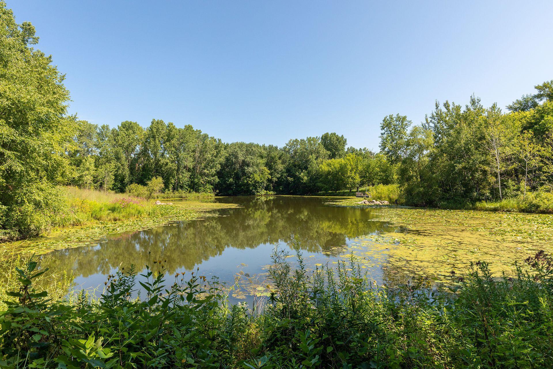 View of Residential at 854 Palm Court, Maplewood MN 55109, Maplewood (46 of 48) - Mike Wilen | Minnesota Team Real Estate