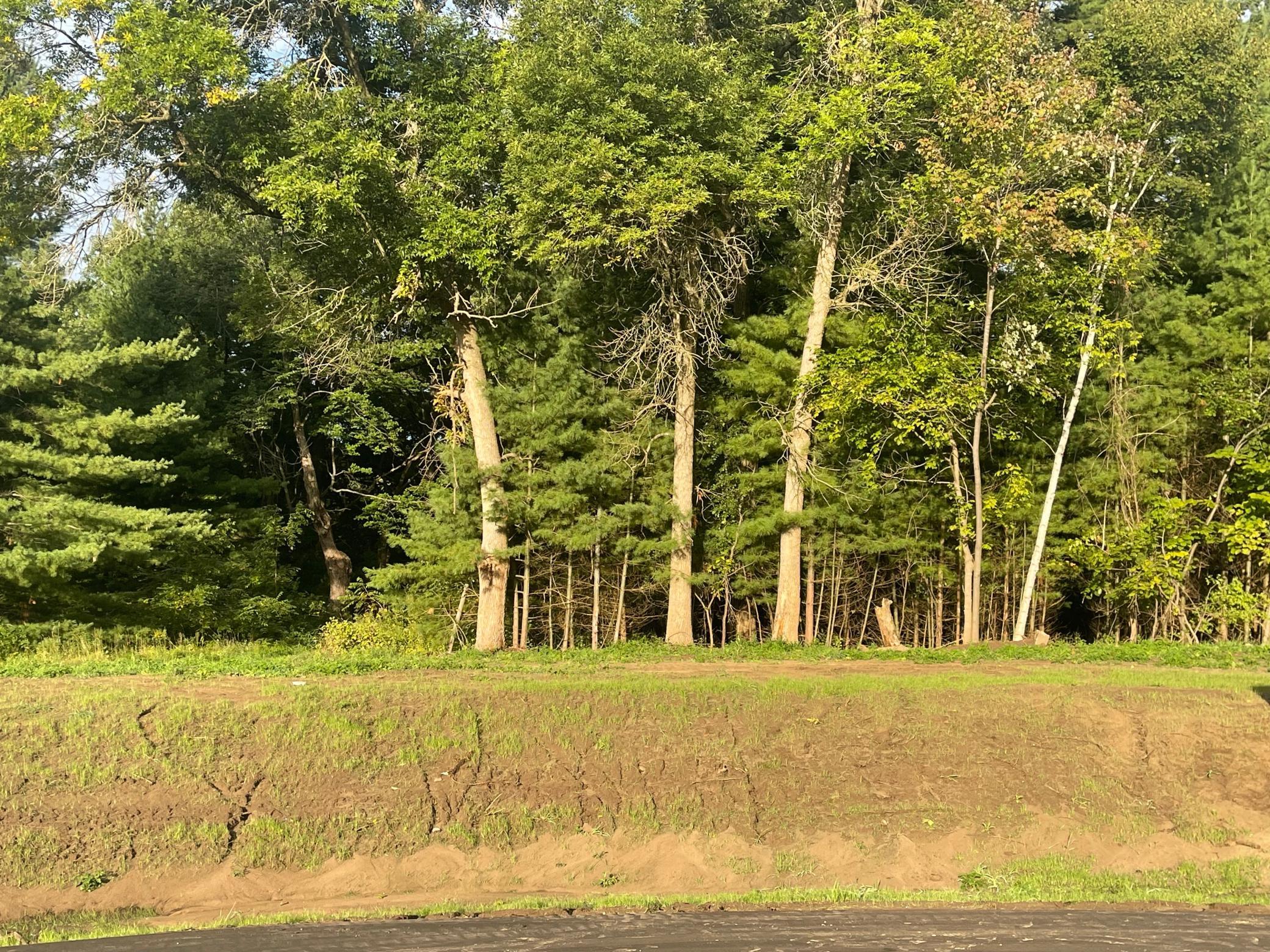 View of Land at TBD XXX 76th Avenue, Princeton MN 55371, Princeton (2 of 6) - Mike Wilen | Minnesota Team Real Estate