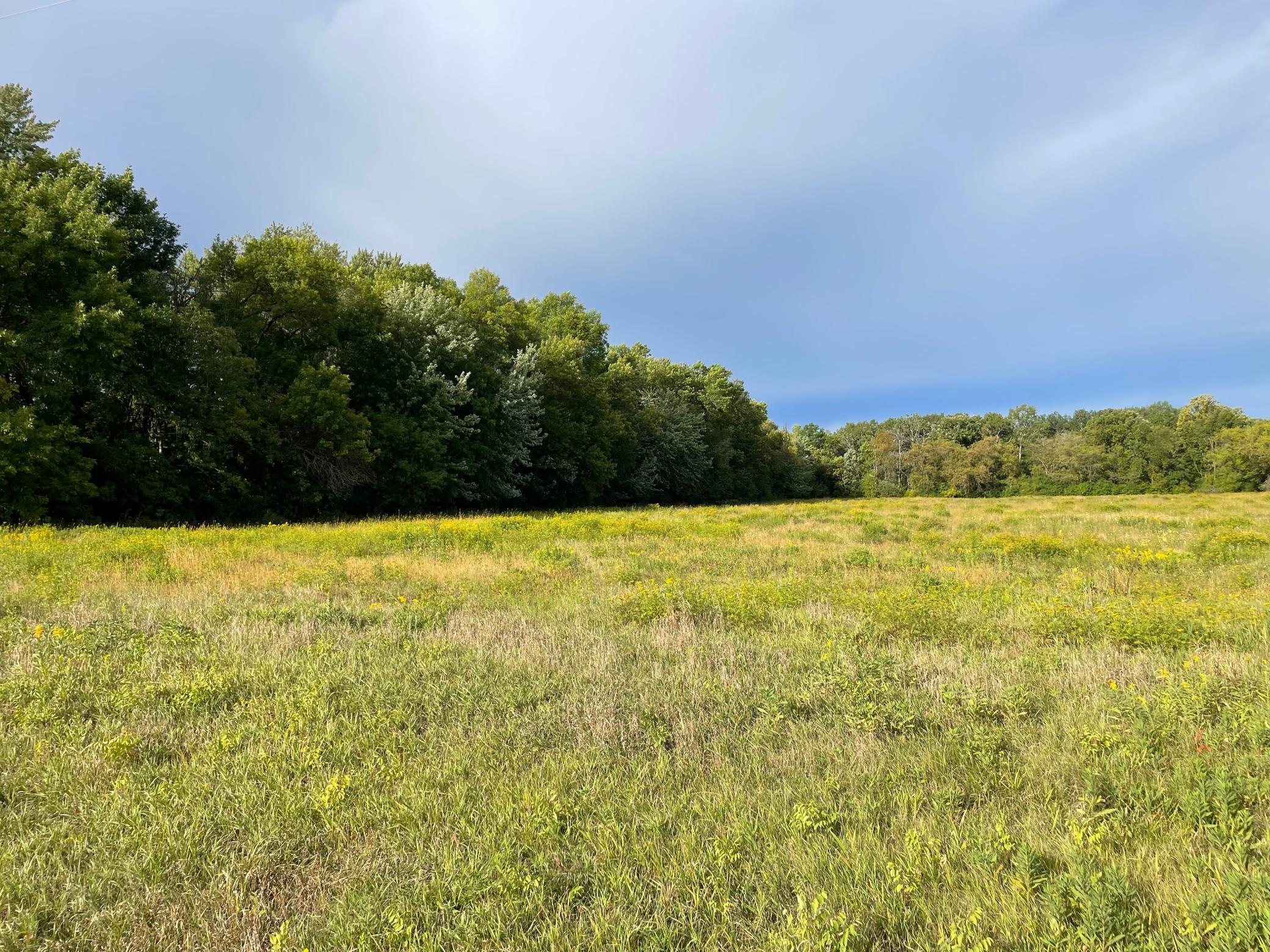 View of Land at TBD XXX 140th Avenue, Foreston MN 56330, Foreston (7 of 7) - Mike Wilen | Minnesota Team Real Estate