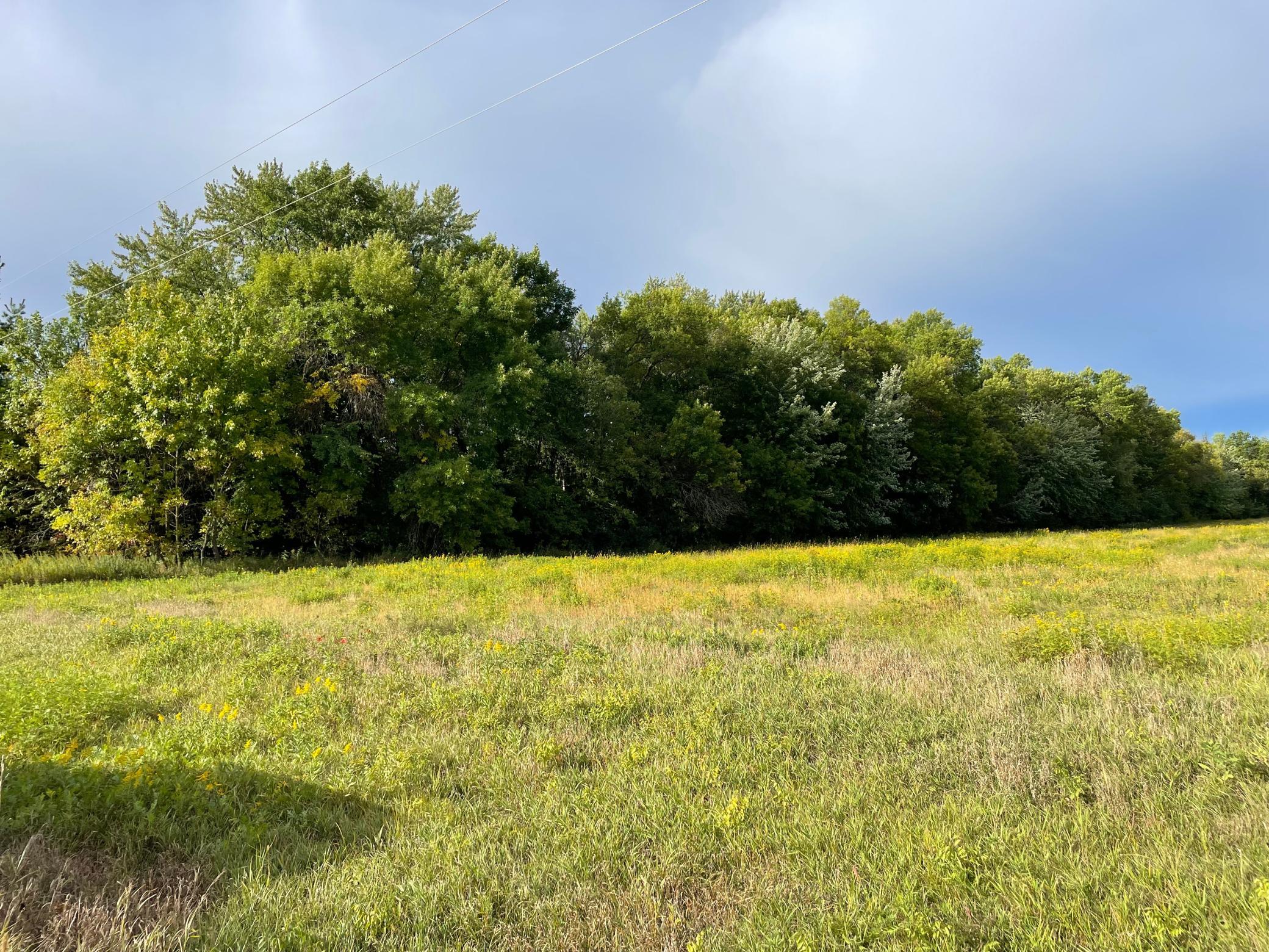 View of Land at TBD XXX 140th Avenue, Foreston MN 56330, Foreston (6 of 7) - Mike Wilen | Minnesota Team Real Estate