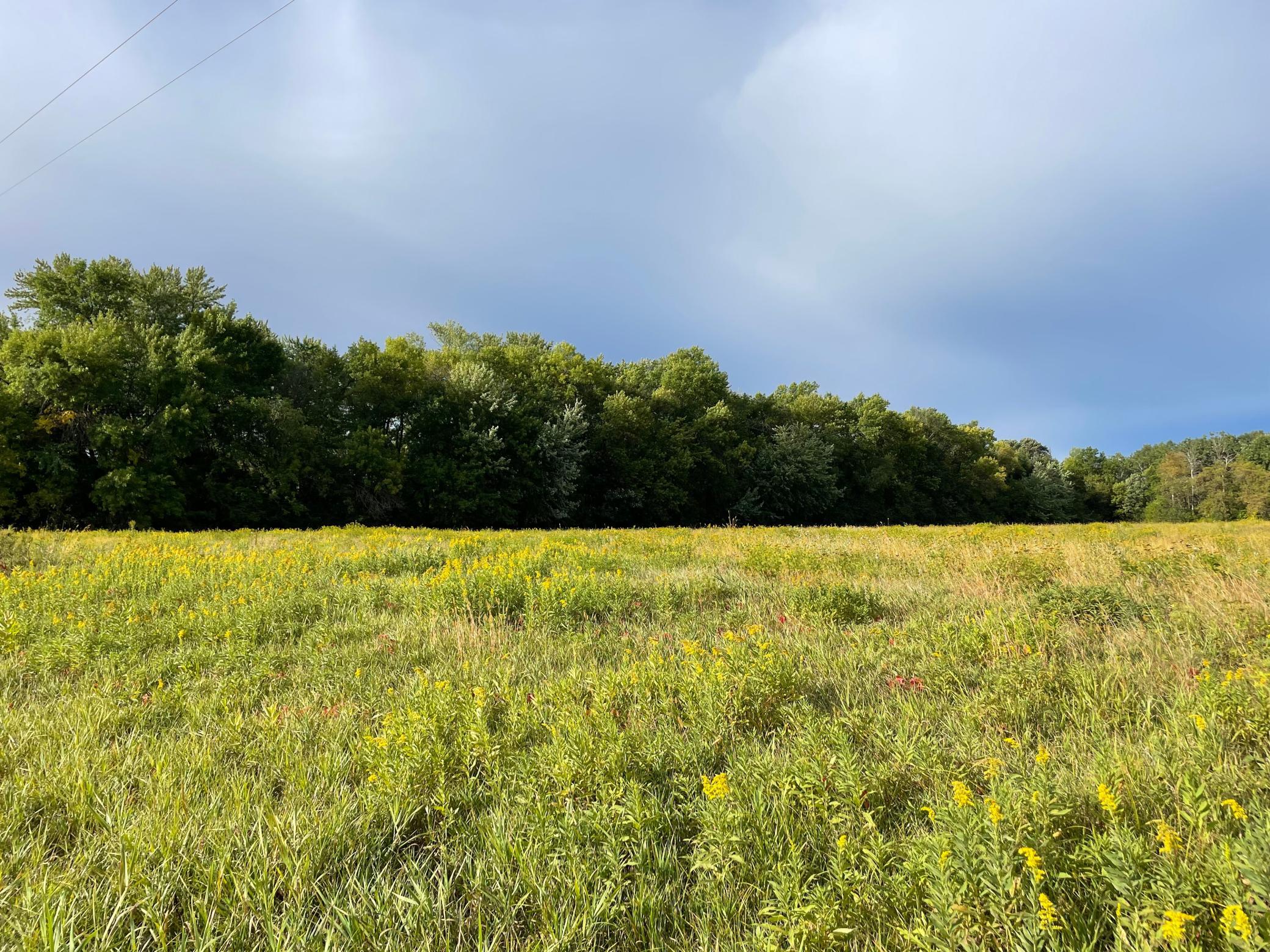 View of Land at TBD XXX 140th Avenue, Foreston MN 56330, Foreston (5 of 7) - Mike Wilen | Minnesota Team Real Estate