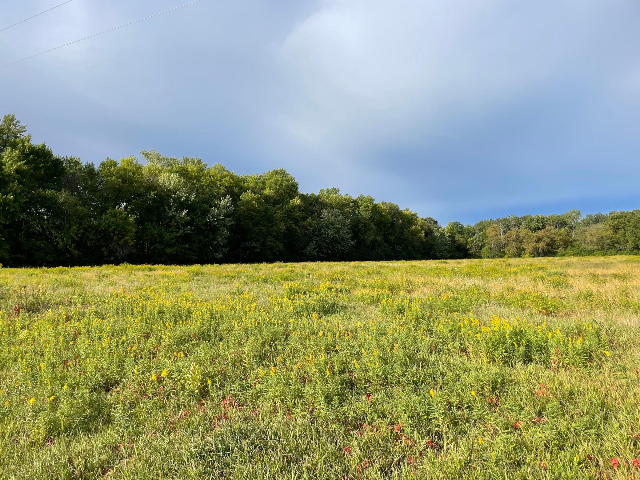 View of Land at TBD XXX 140th Avenue, Foreston MN 56330, Foreston (4 of 7) - Mike Wilen | Minnesota Team Real Estate