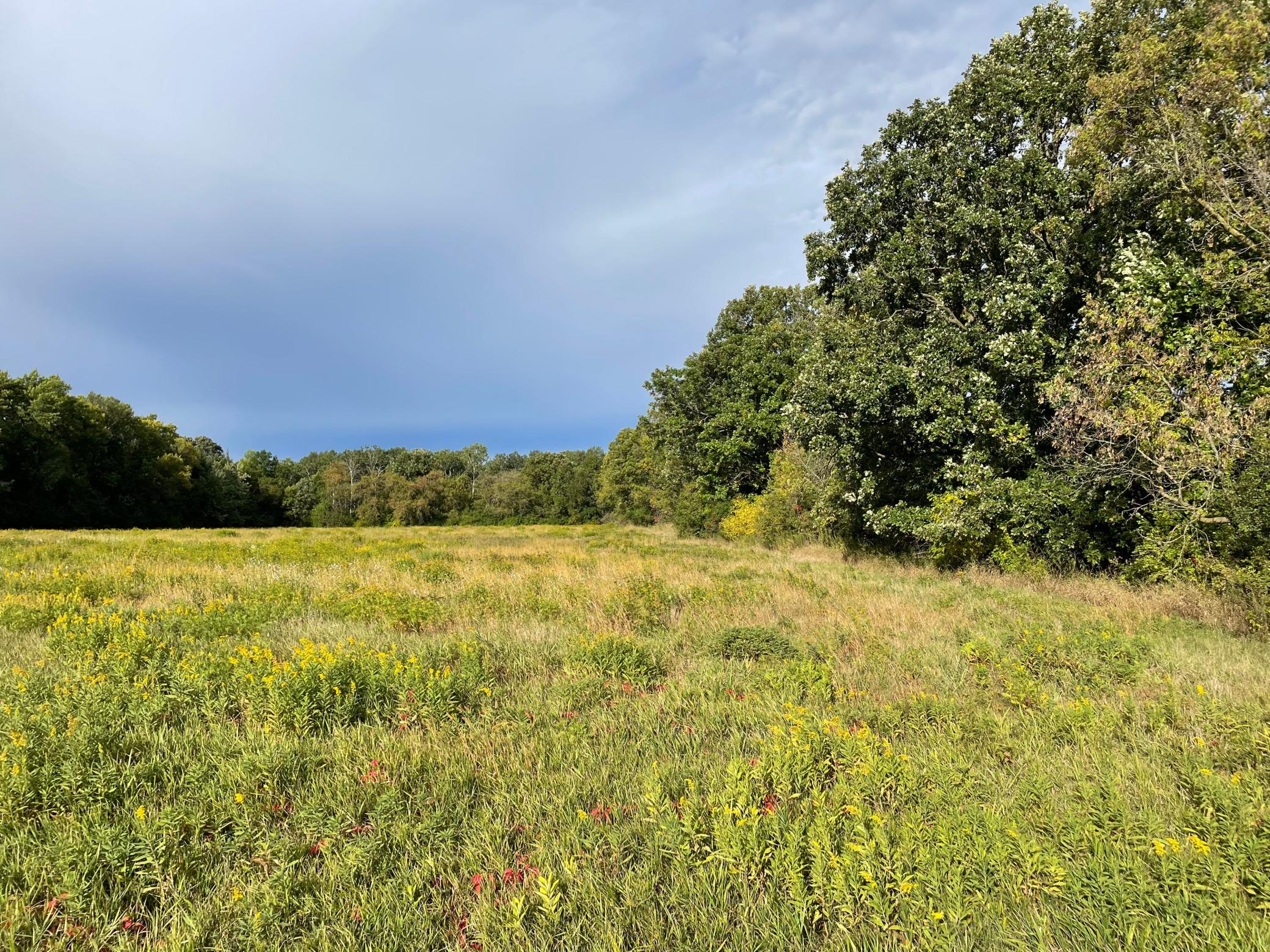 View of Land at TBD XXX 140th Avenue, Foreston MN 56330, Foreston (3 of 7) - Mike Wilen | Minnesota Team Real Estate