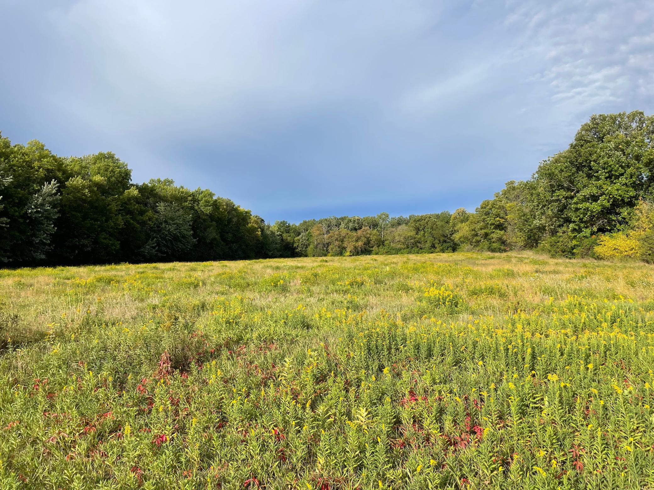 View of Land at TBD XXX 140th Avenue, Foreston MN 56330, Foreston (2 of 7) - Mike Wilen | Minnesota Team Real Estate