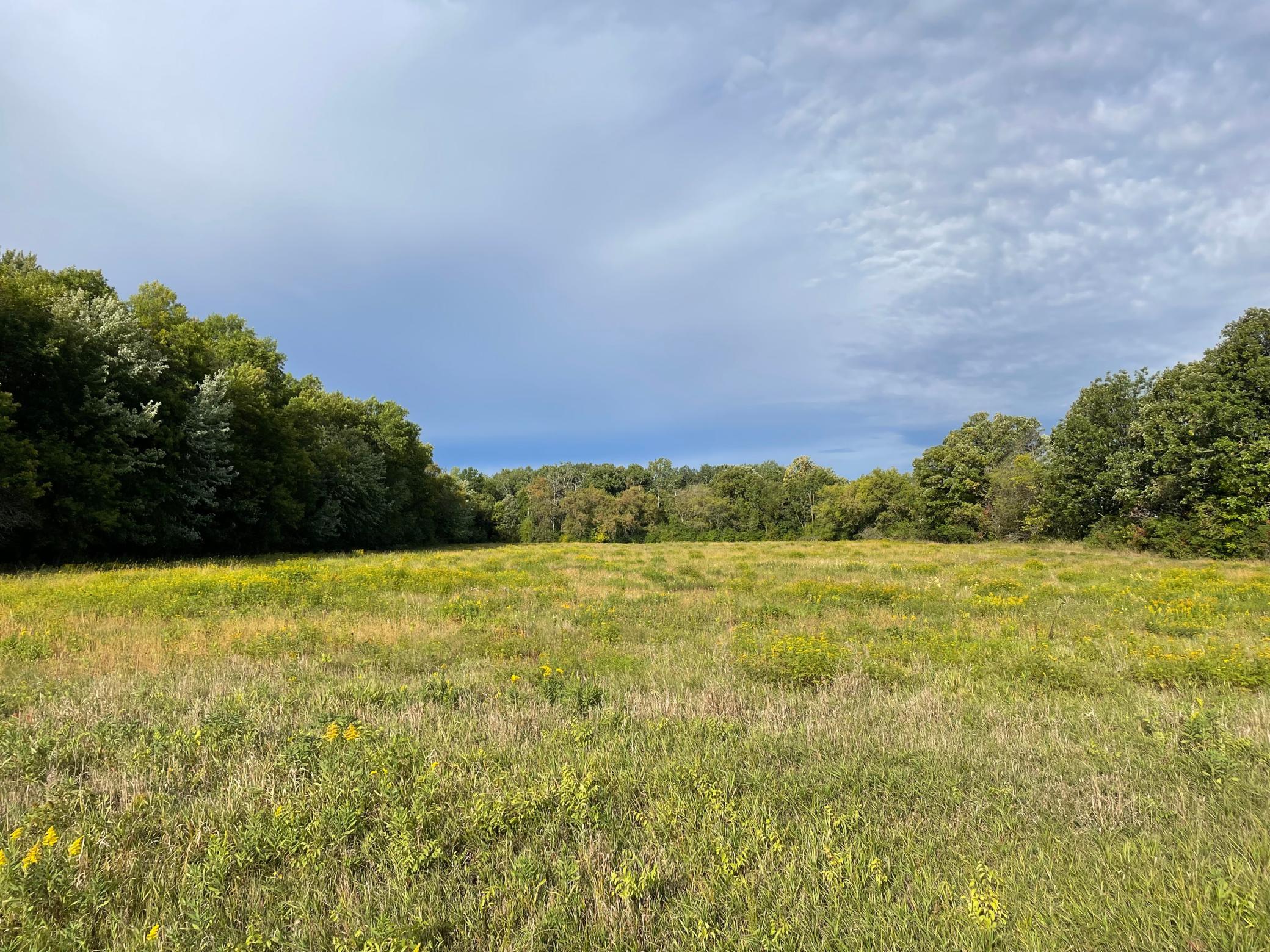 View of Residential Lot at TBD XXX 140th Avenue, Foreston - Mike Wilen | Minnesota Team Real Estate