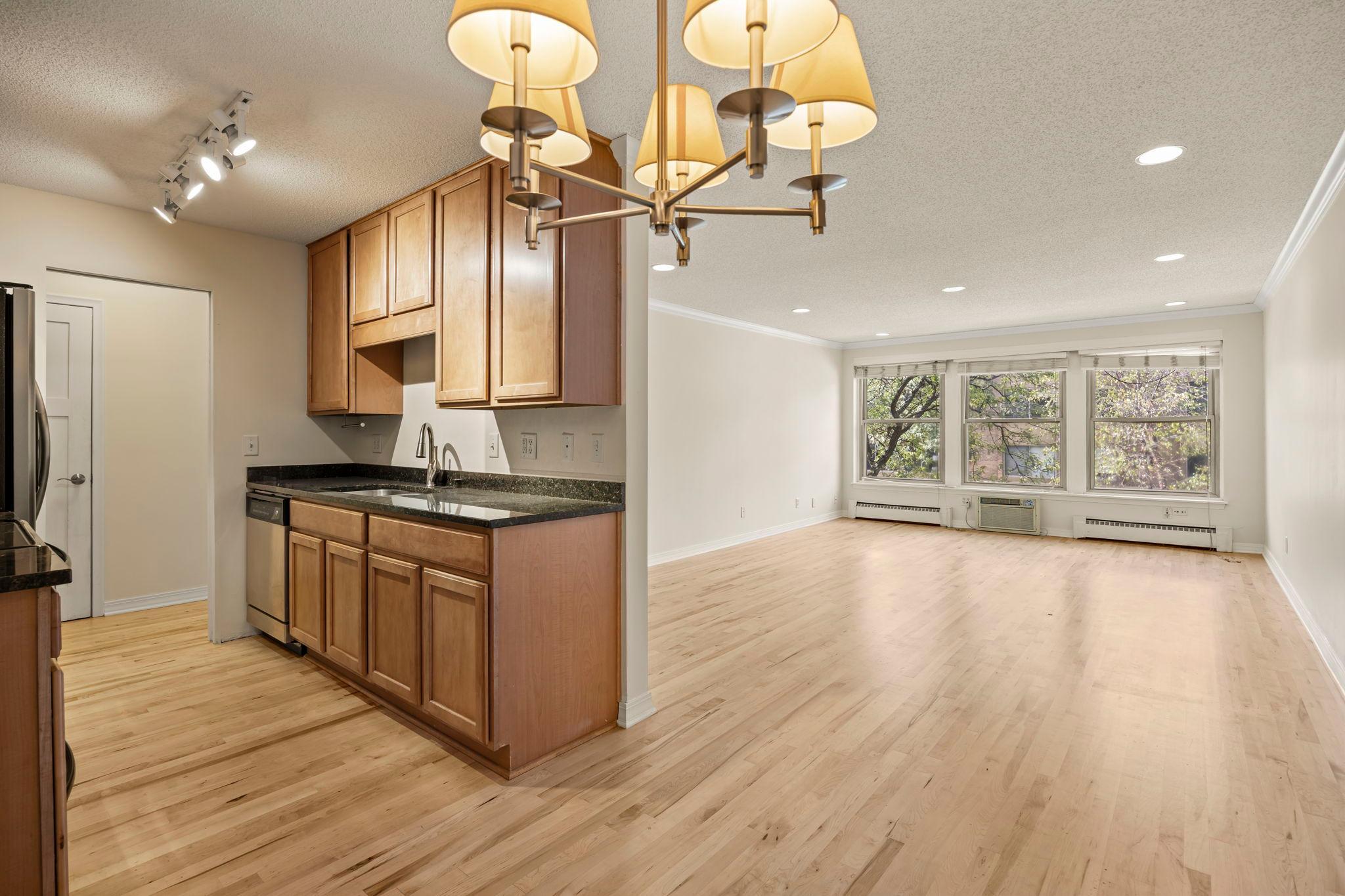 View of Residential at 821 Douglas Avenue #204, Minneapolis MN 55403, Minneapolis (9 of 20) - Mike Wilen | Minnesota Team Real Estate