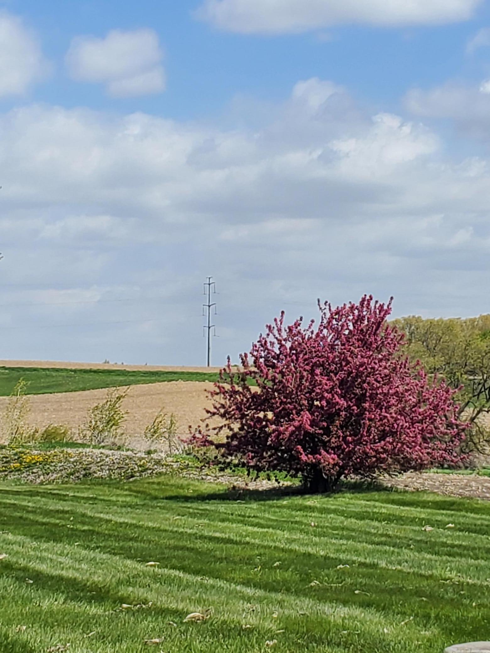 View of Residential at 21280 93rd Avenue, Corcoran MN 55340, Corcoran (5 of 57) - Mike Wilen | Minnesota Team Real Estate