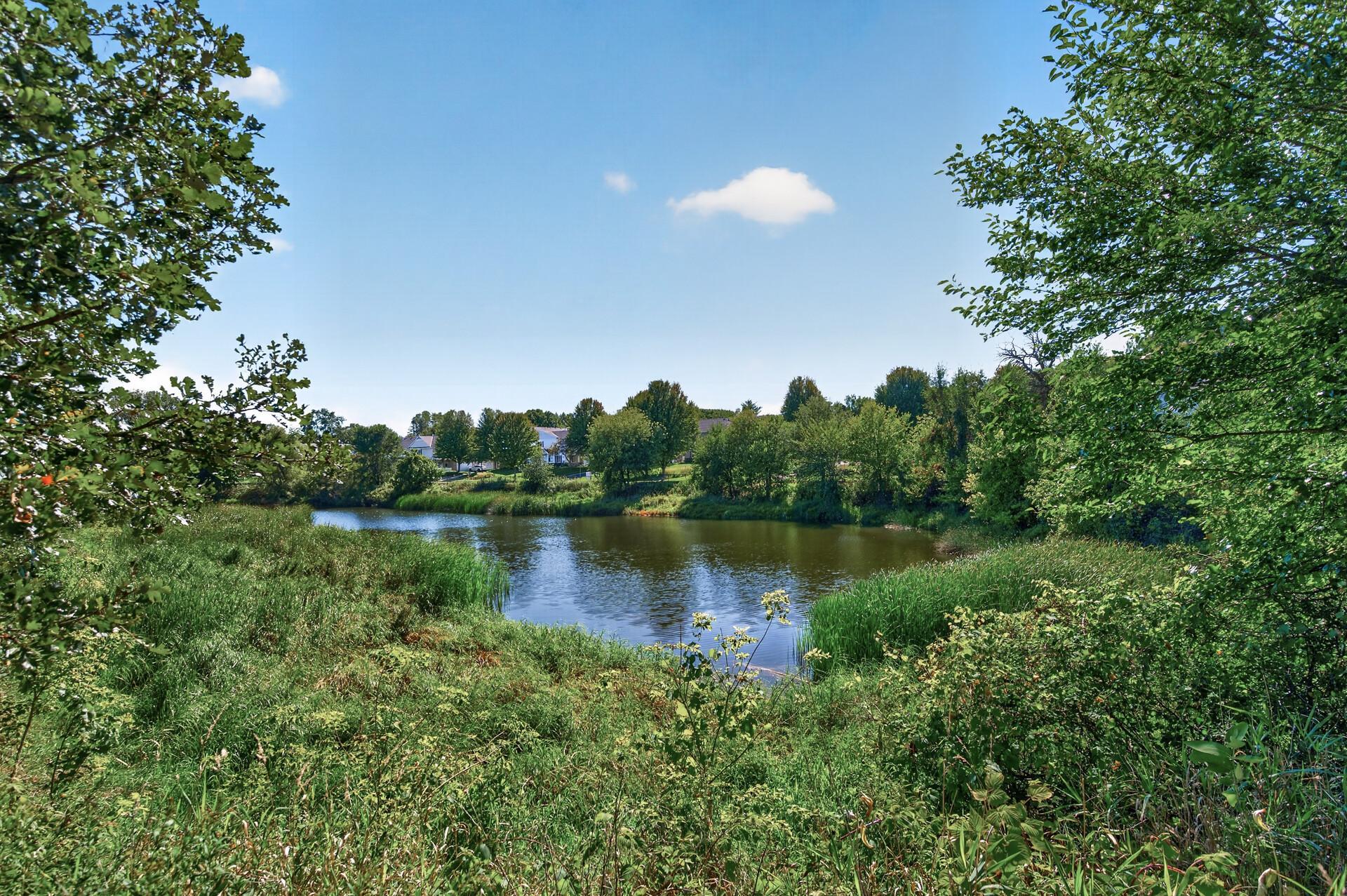 View of Residential at 703 Maple Hills Drive #D, Maplewood MN 55117, Maplewood (5 of 53) - Mike Wilen | Minnesota Team Real Estate