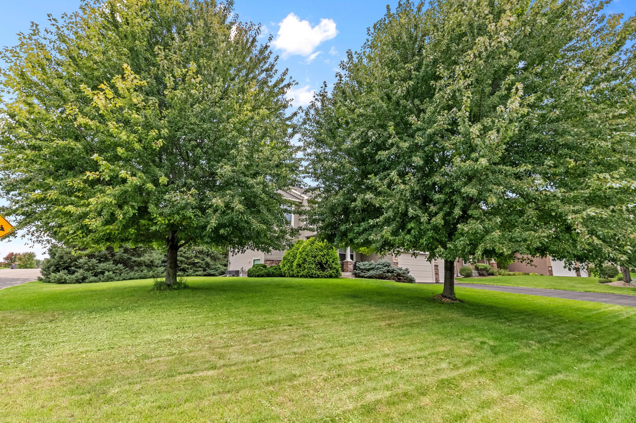 View of Residential at 14428 Flintwood Street, Andover MN 55304, Andover (9 of 40) - Mike Wilen | Minnesota Team Real Estate