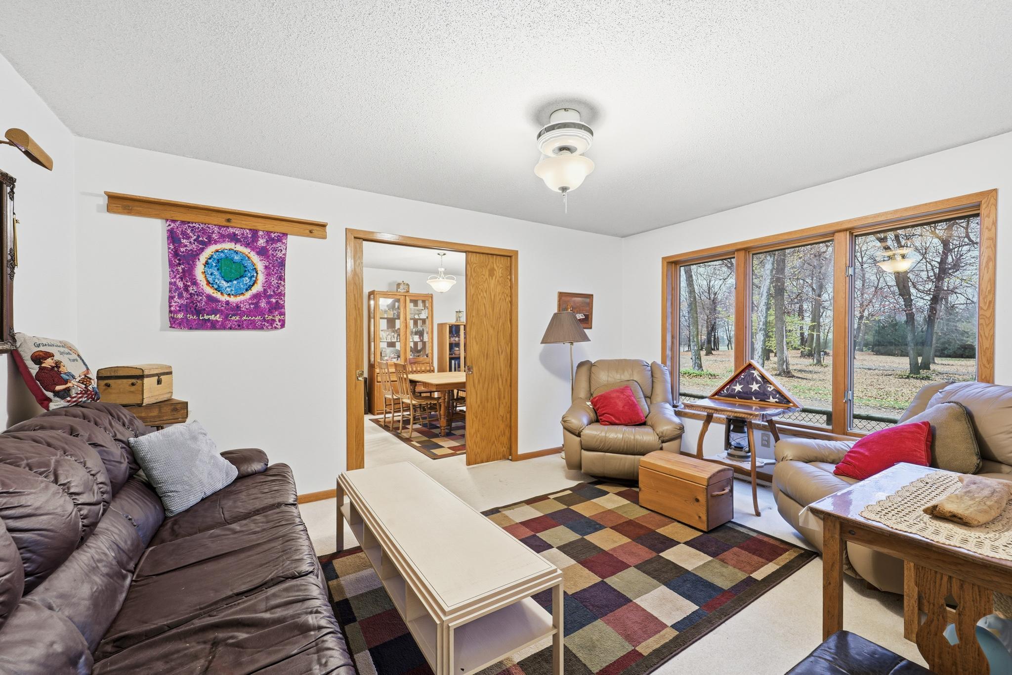 View of Residential at 37159 231st Avenue, Le Center MN 56057, Le Center (20 of 48) - Mike Wilen | Minnesota Team Real Estate