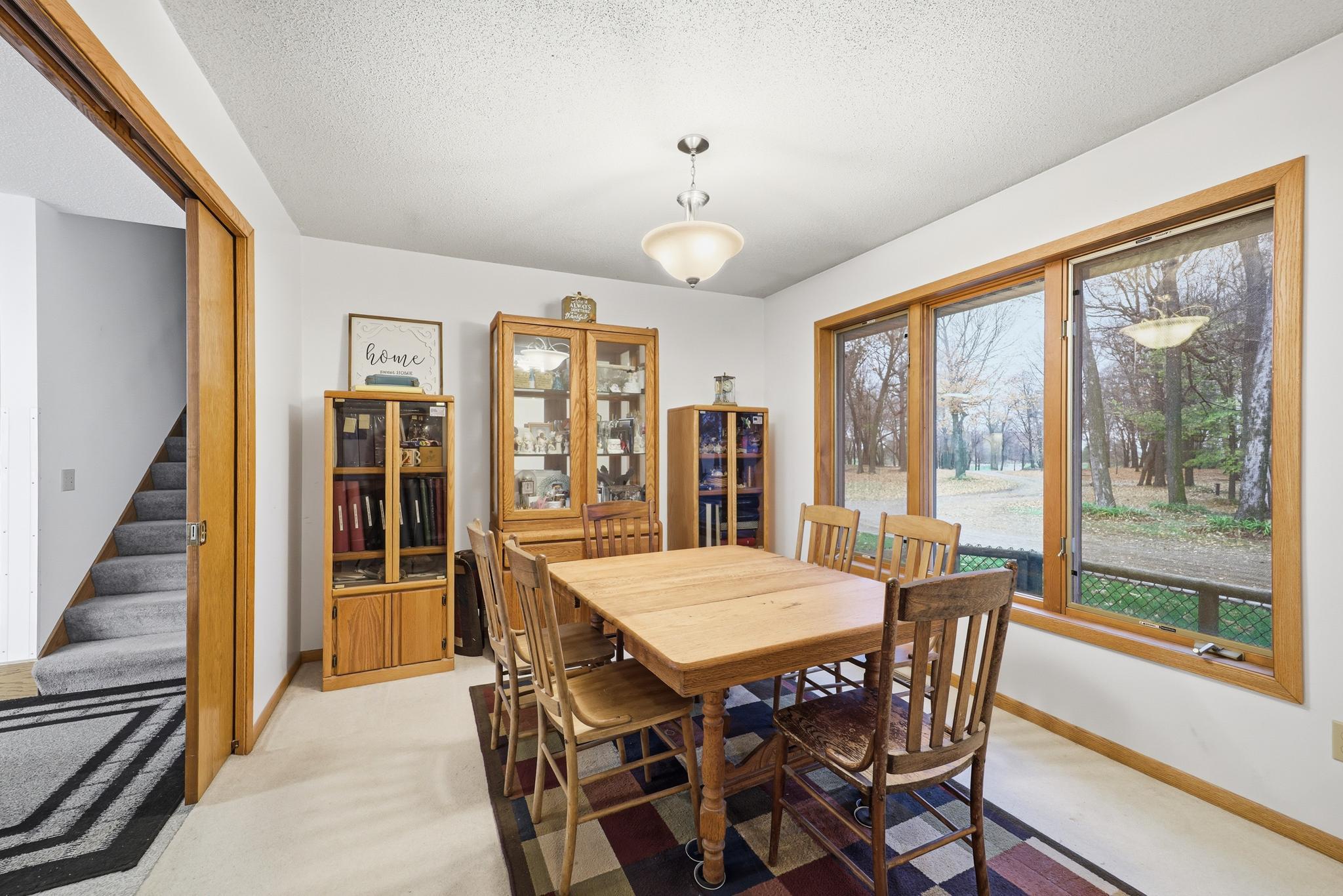 View of Residential at 37159 231st Avenue, Le Center MN 56057, Le Center (18 of 48) - Mike Wilen | Minnesota Team Real Estate