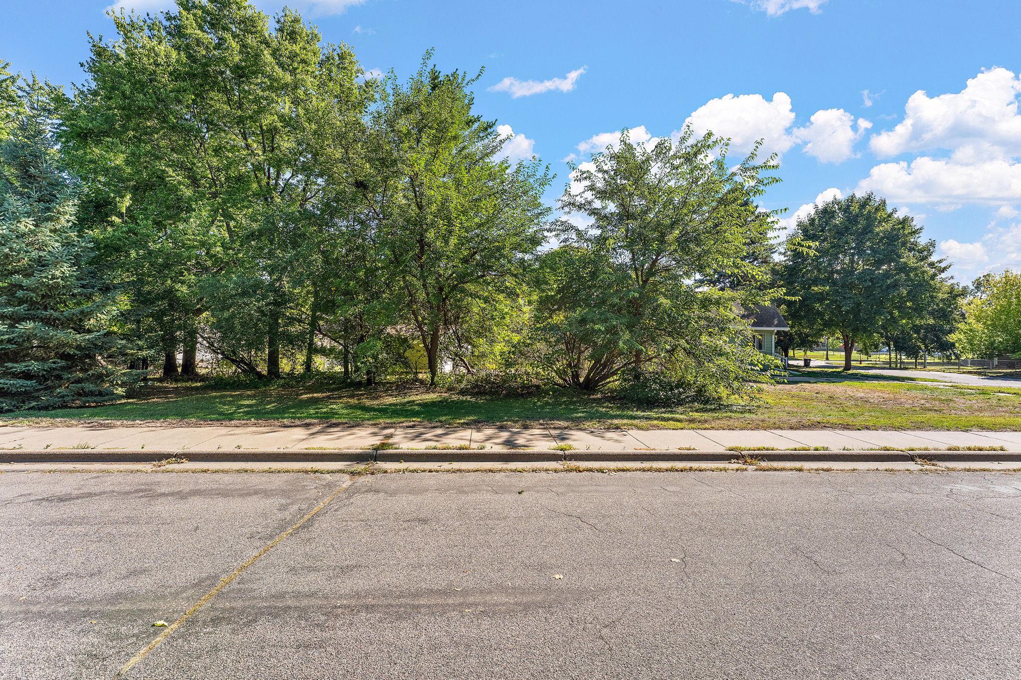 View of Residential at 346 Vance Street, Saint Paul MN 55102, Saint Paul (38 of 54) - Mike Wilen | Minnesota Team Real Estate