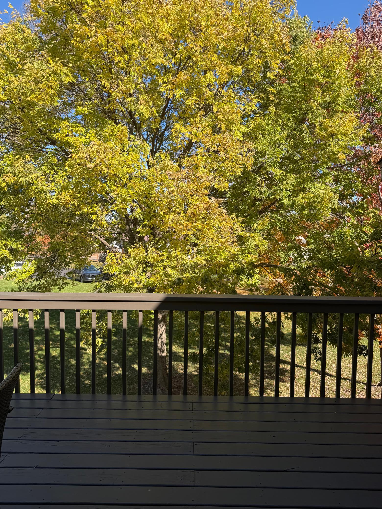 View of Residential at 6630 Falstaff Road, Woodbury MN 55125, Woodbury (5 of 5) - Mike Wilen | Minnesota Team Real Estate
