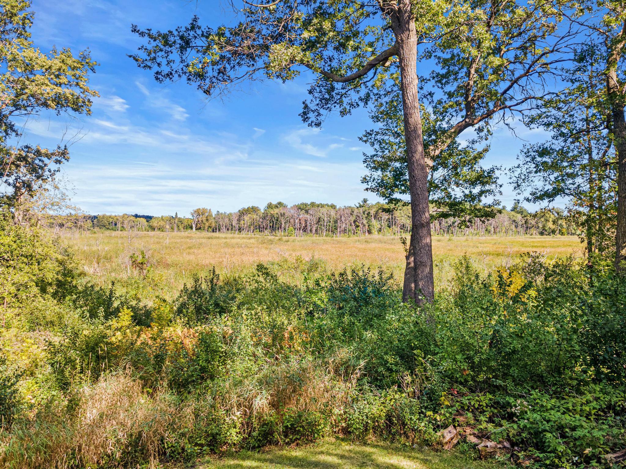 View of Single Family at 4236 Rice Street, Shoreview - Mike Wilen | Minnesota Team Real Estate