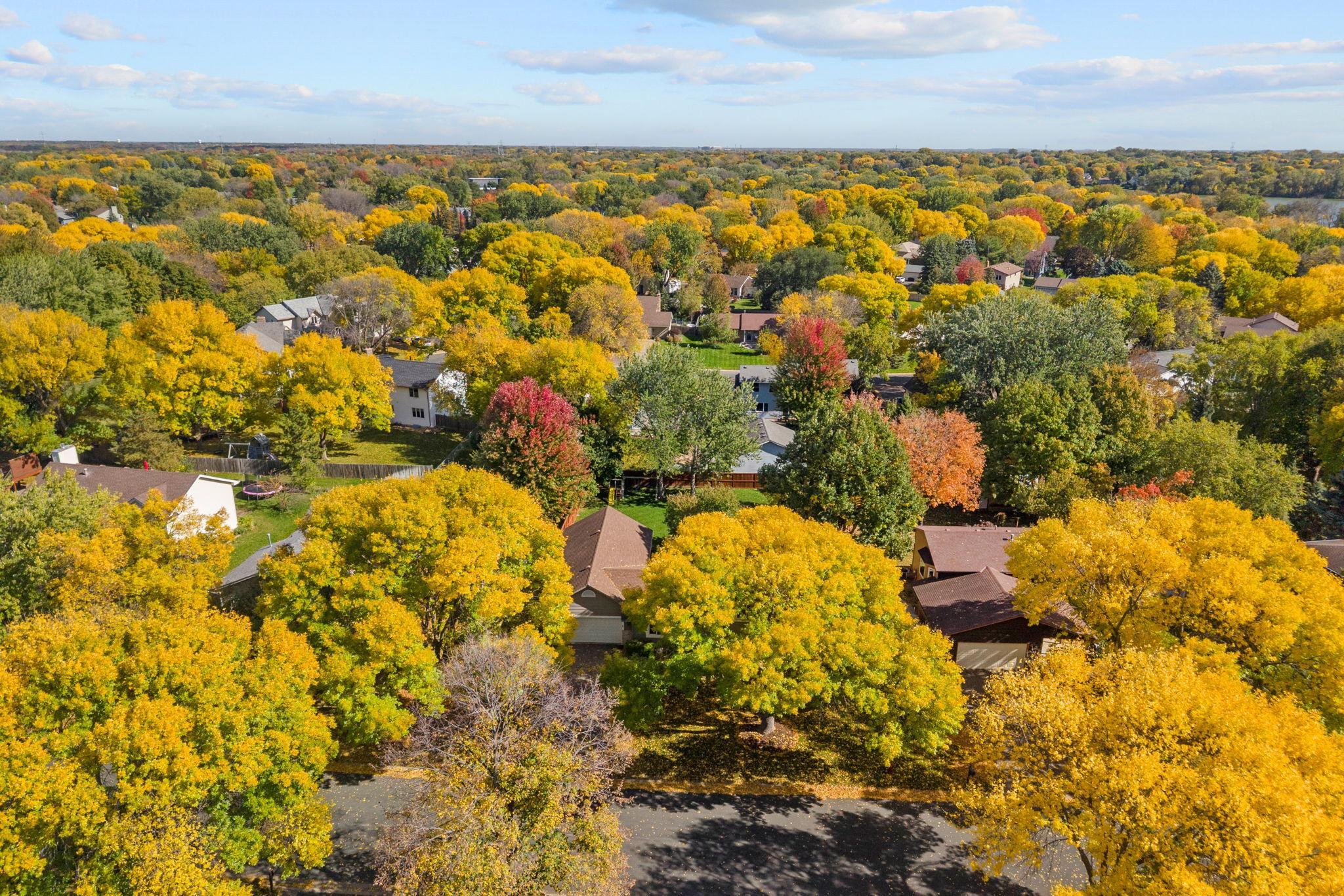 View of Residential at 9150 Orchid Lane, Maple Grove MN 55369, Maple Grove (42 of 51) - Mike Wilen | Minnesota Team Real Estate