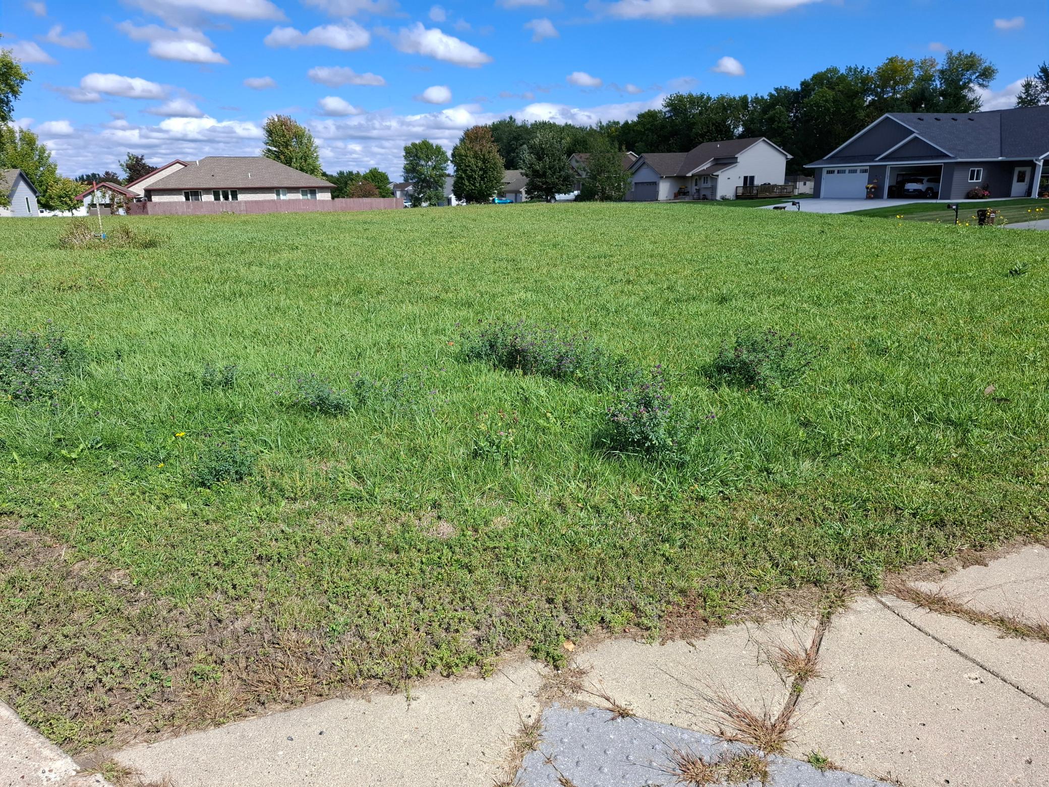 View of Land at 870 Congress Street, Maple Lake MN 55358, Maple Lake (4 of 5) - Mike Wilen | Minnesota Team Real Estate