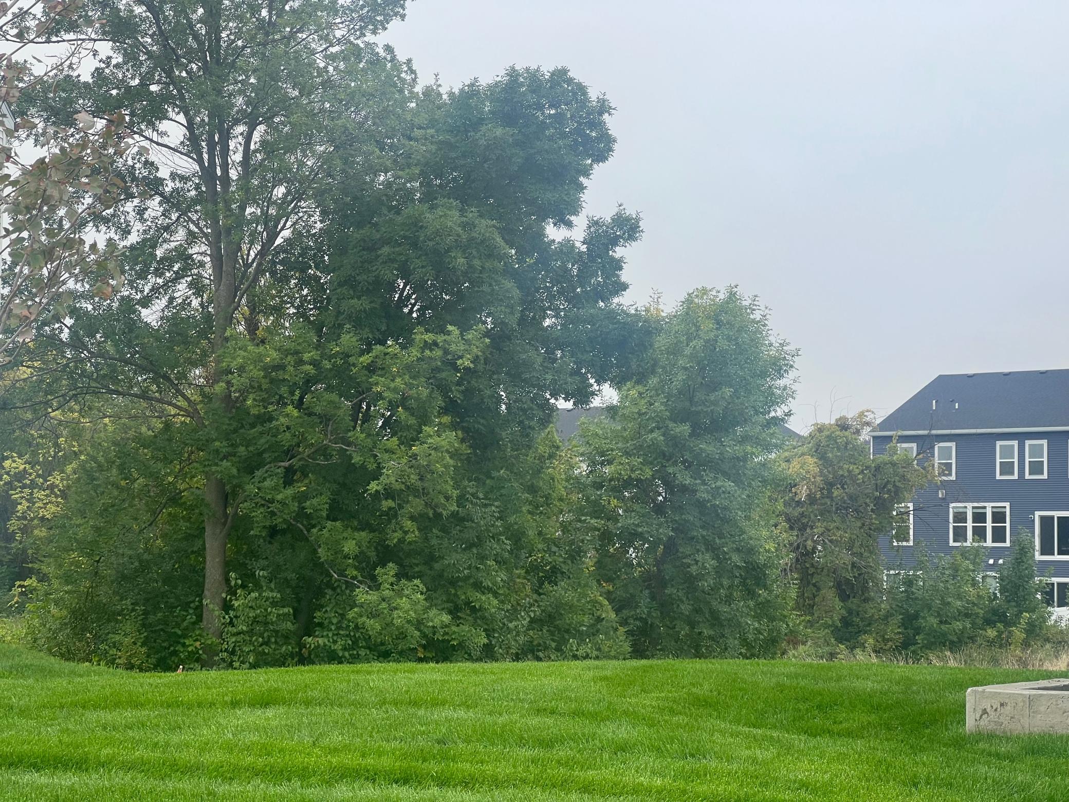 View of Residential at 12608 Garden Meadow Lane, Rogers MN 55374, Rogers (25 of 25) - Mike Wilen | Minnesota Team Real Estate