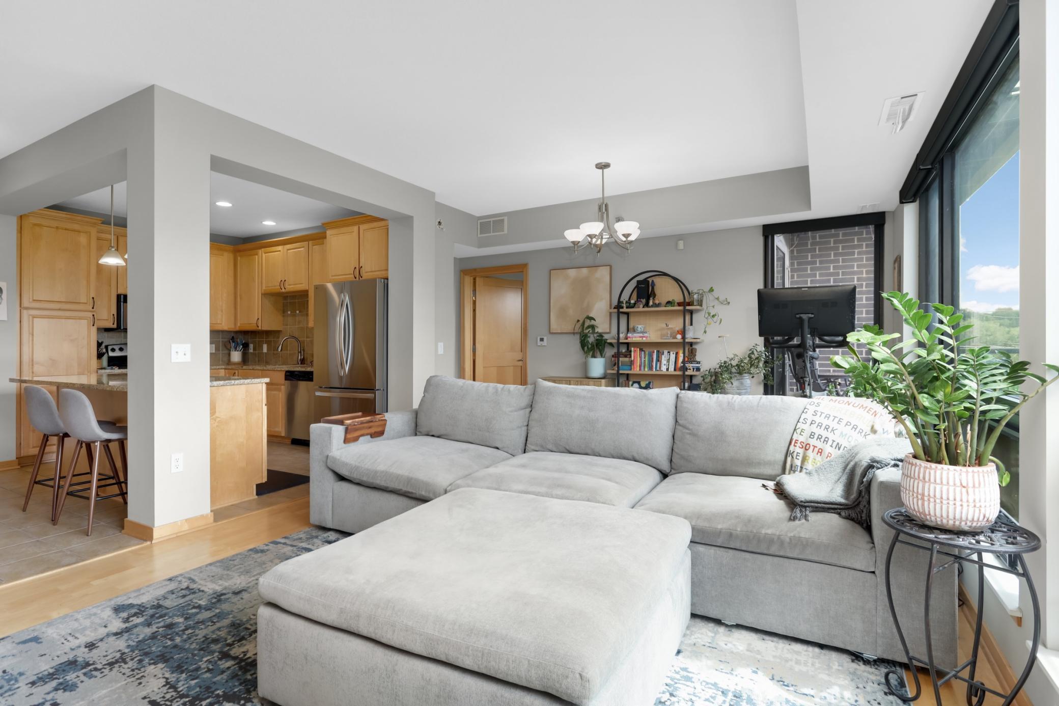 View of Residential at 284 Spring Street #307, Saint Paul MN 55102, Saint Paul (5 of 25) - Mike Wilen | Minnesota Team Real Estate