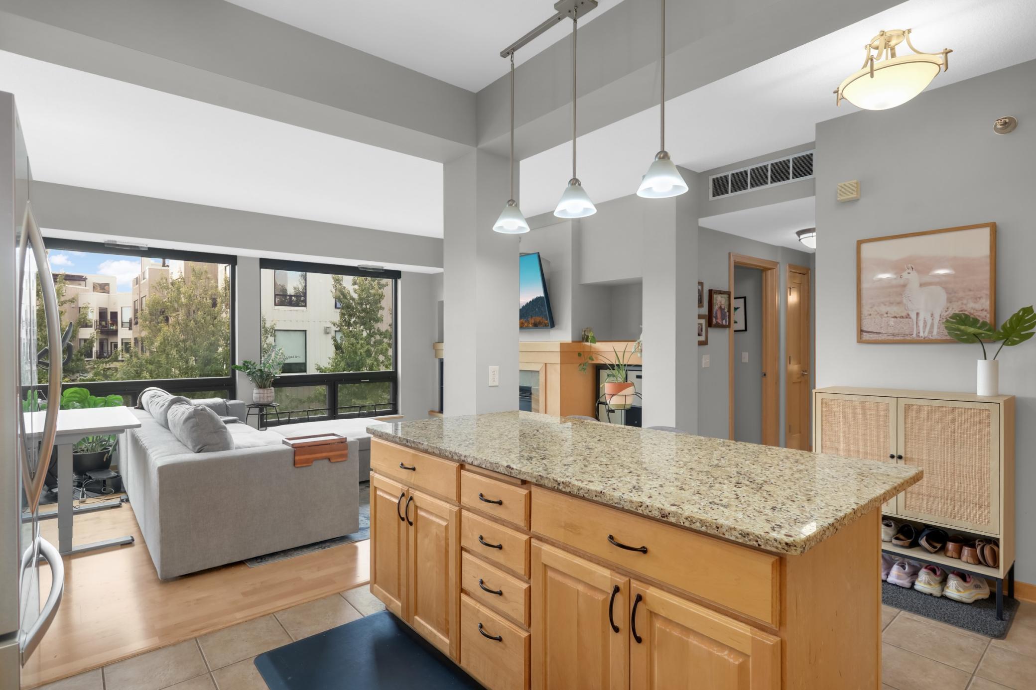 View of Residential at 284 Spring Street #307, Saint Paul MN 55102, Saint Paul (3 of 25) - Mike Wilen | Minnesota Team Real Estate