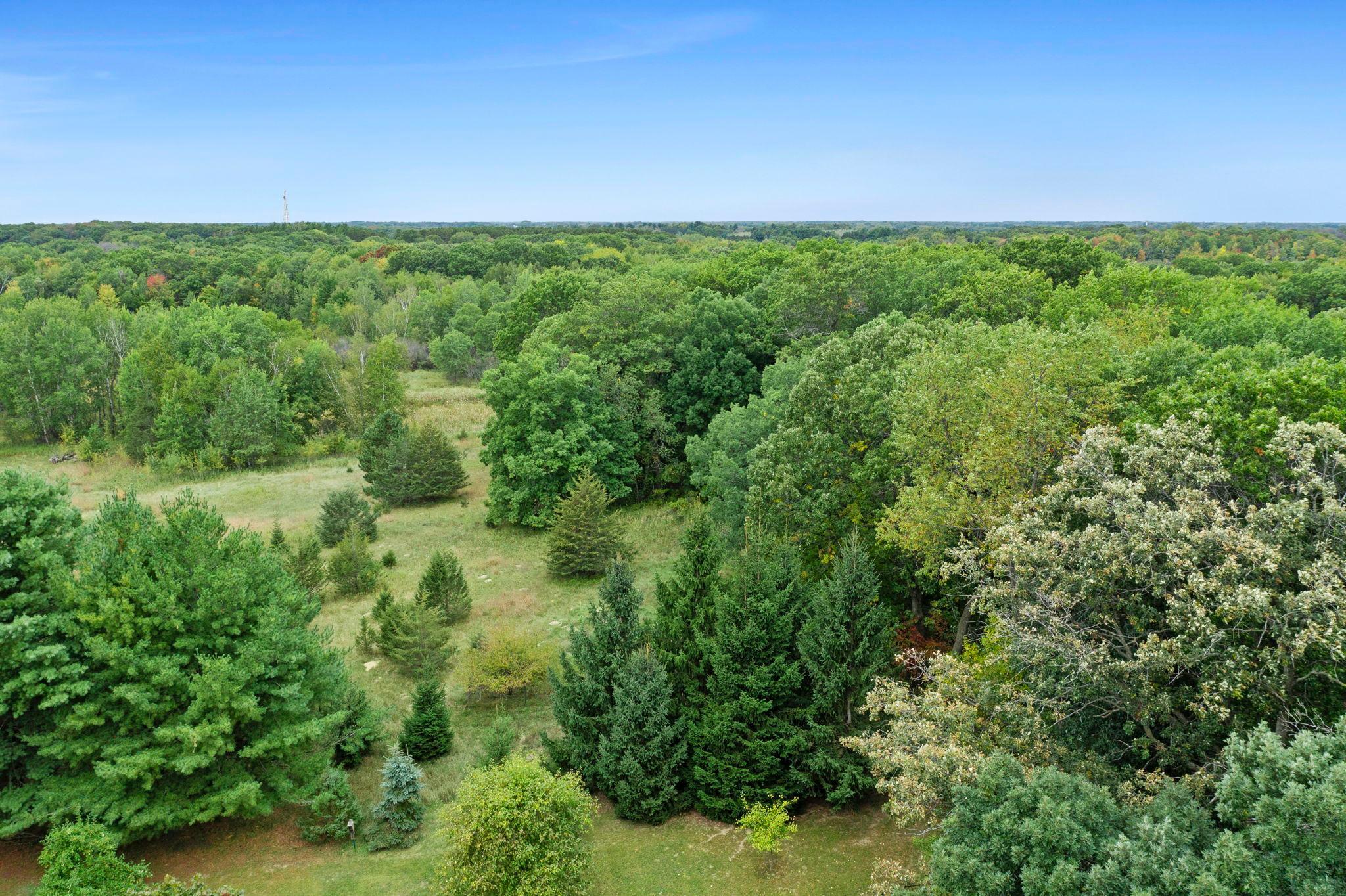 View of Residential at 29614 Innsbrook Avenue, Stacy MN 55079, Stacy (59 of 72) - Mike Wilen | Minnesota Team Real Estate
