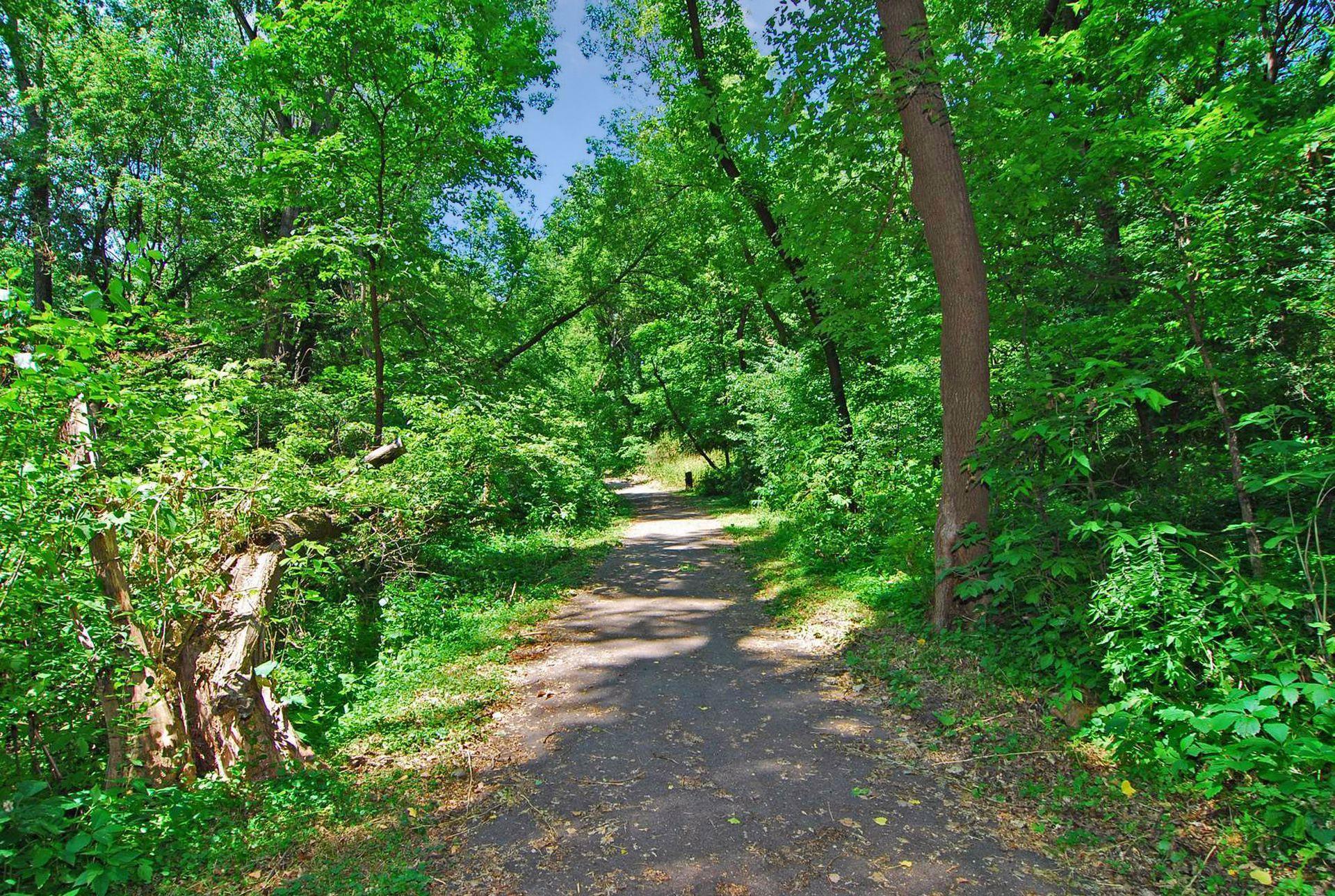 View of Residential at 4636 Cedar Lake Road #2, Saint Louis Park MN 55416, Saint Louis Park (47 of 50) - Mike Wilen | Minnesota Team Real Estate