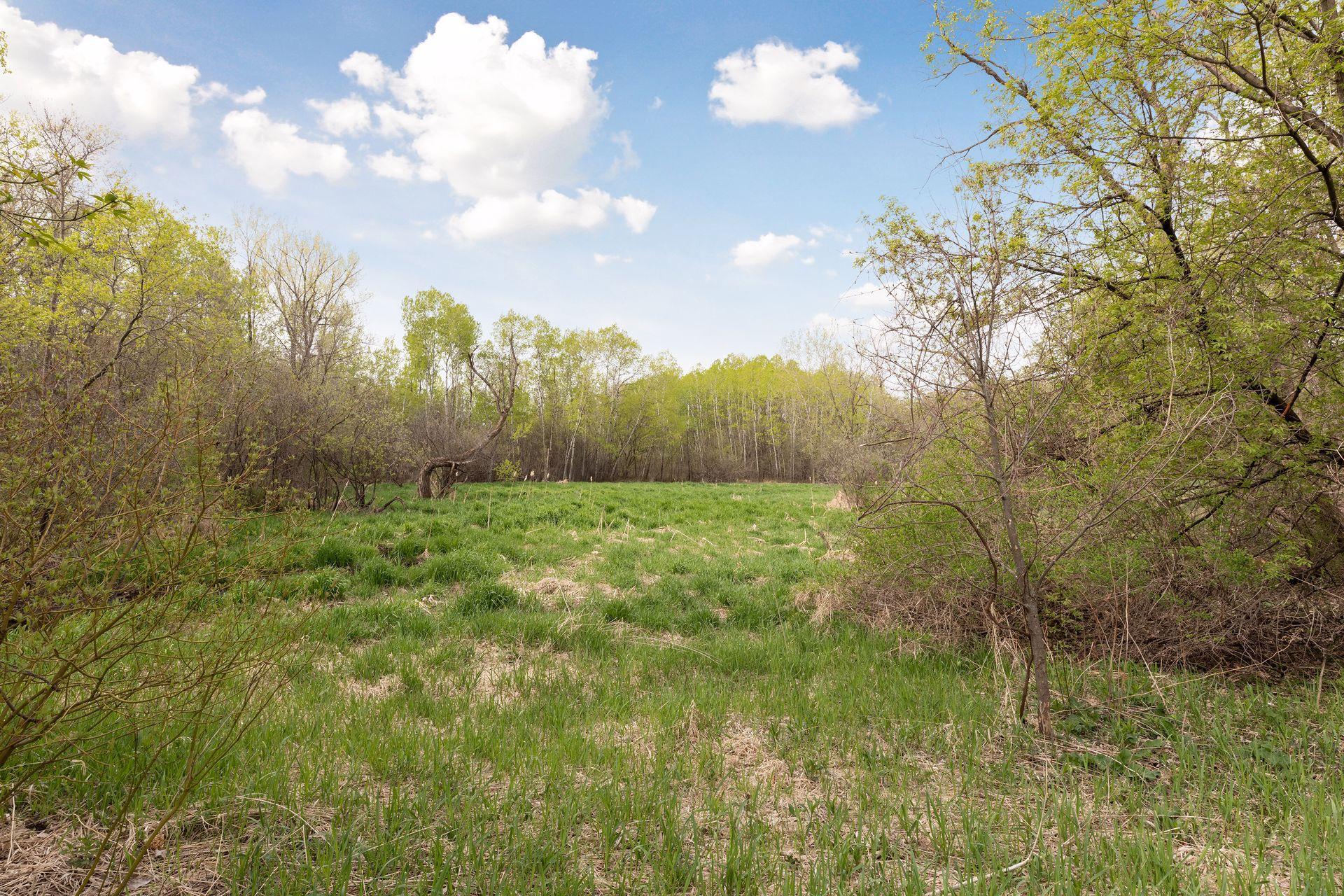 View of Residential at 1416 Clarmar Avenue, Roseville MN 55113, Roseville (69 of 91) - Mike Wilen | Minnesota Team Real Estate
