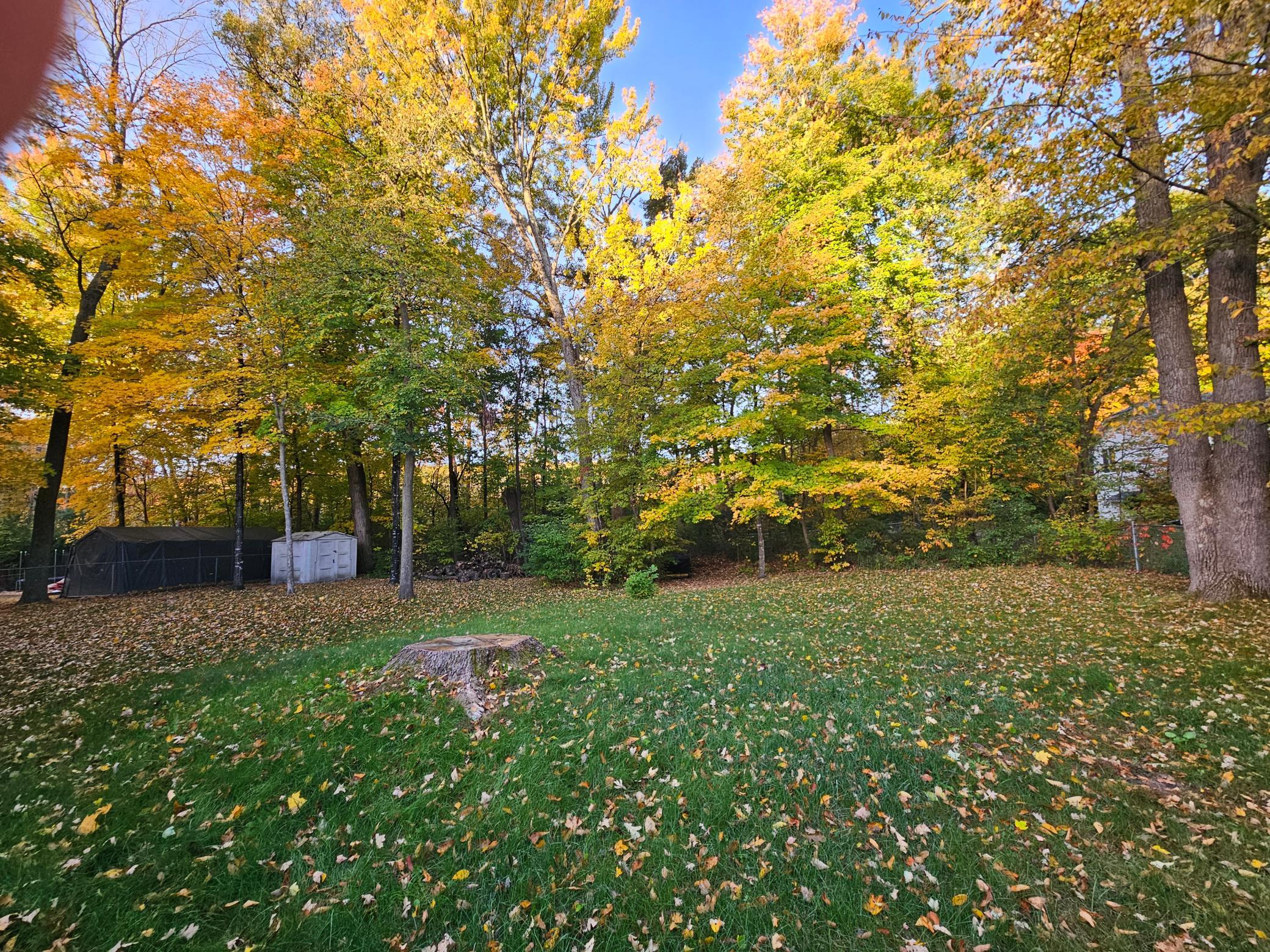 View of Residential at 815 Colby Street, Taylors Falls MN 55084, Taylors Falls (2 of 45) - Mike Wilen | Minnesota Team Real Estate