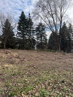 View of Residential Lot at 13800 Forest Hill Road, Eden Prairie - Mike Wilen | Minnesota Team Real Estate